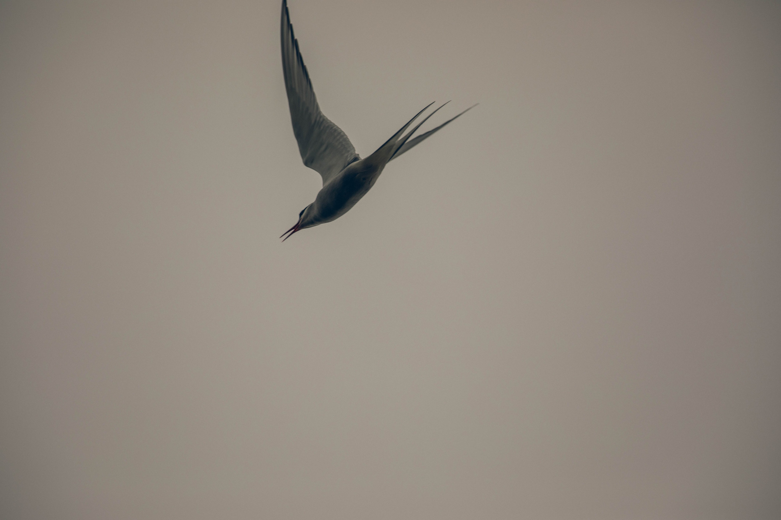 Кольский полуостров. Фотографирую для себя, своей семьи и друзей!