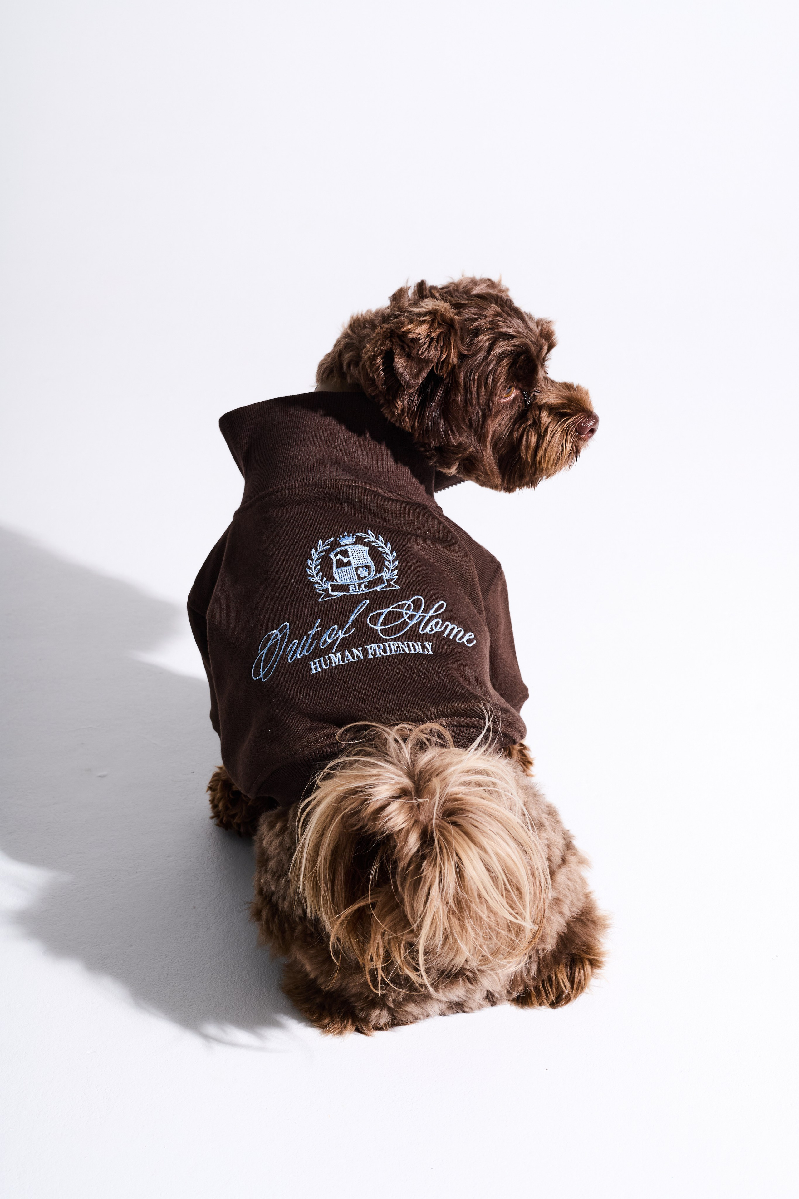 Big Lap Club. Фотограф|Москва-СПб| Анастасия Рябинина