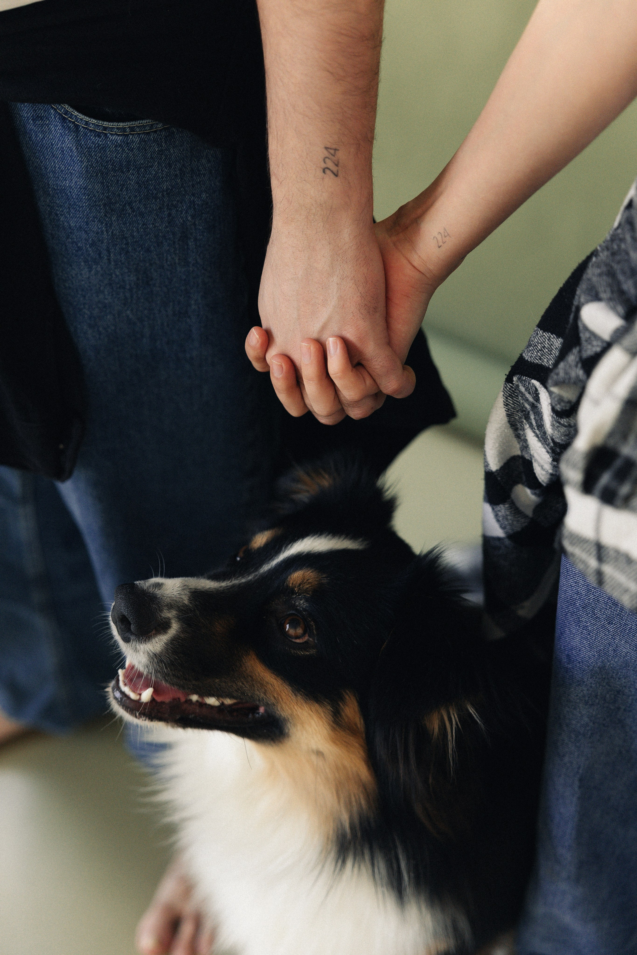 Любовь и хвост. Майорова Валерия Фотограф Ставрополь