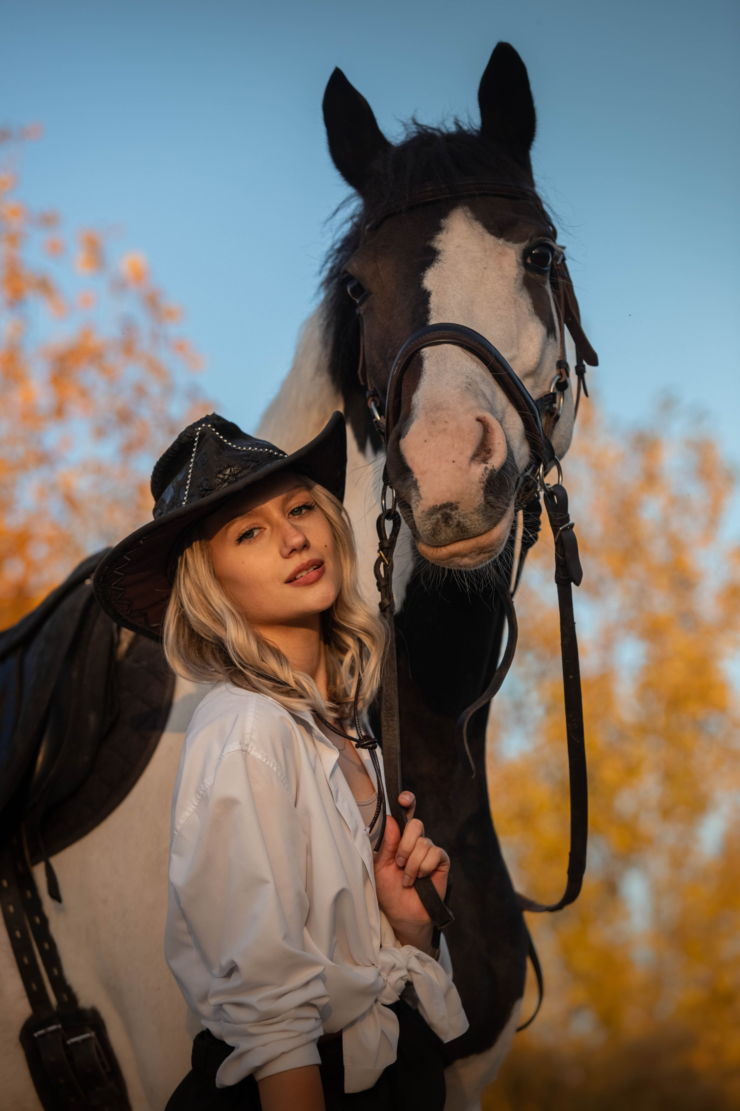 Человек и Лошадь. Главная