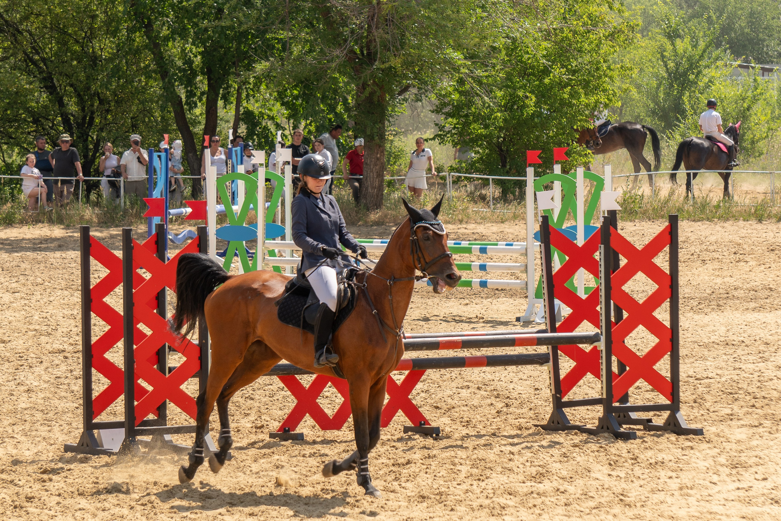 Соревнования по конкуру, Луганск. Фотограф в РФ и ЛНР Юлия Федосеева