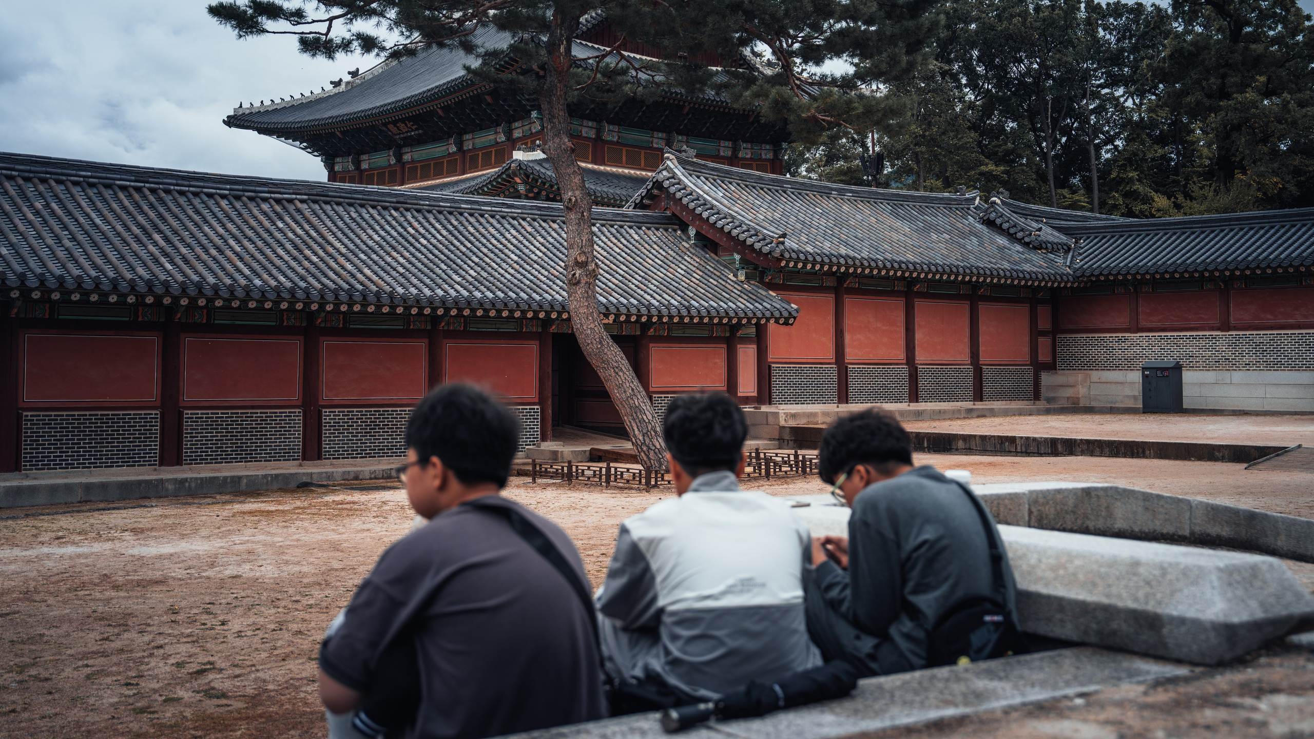 Street photography / Уличная фотография. @tomrus: Рустам Шагиморданов — фотограф