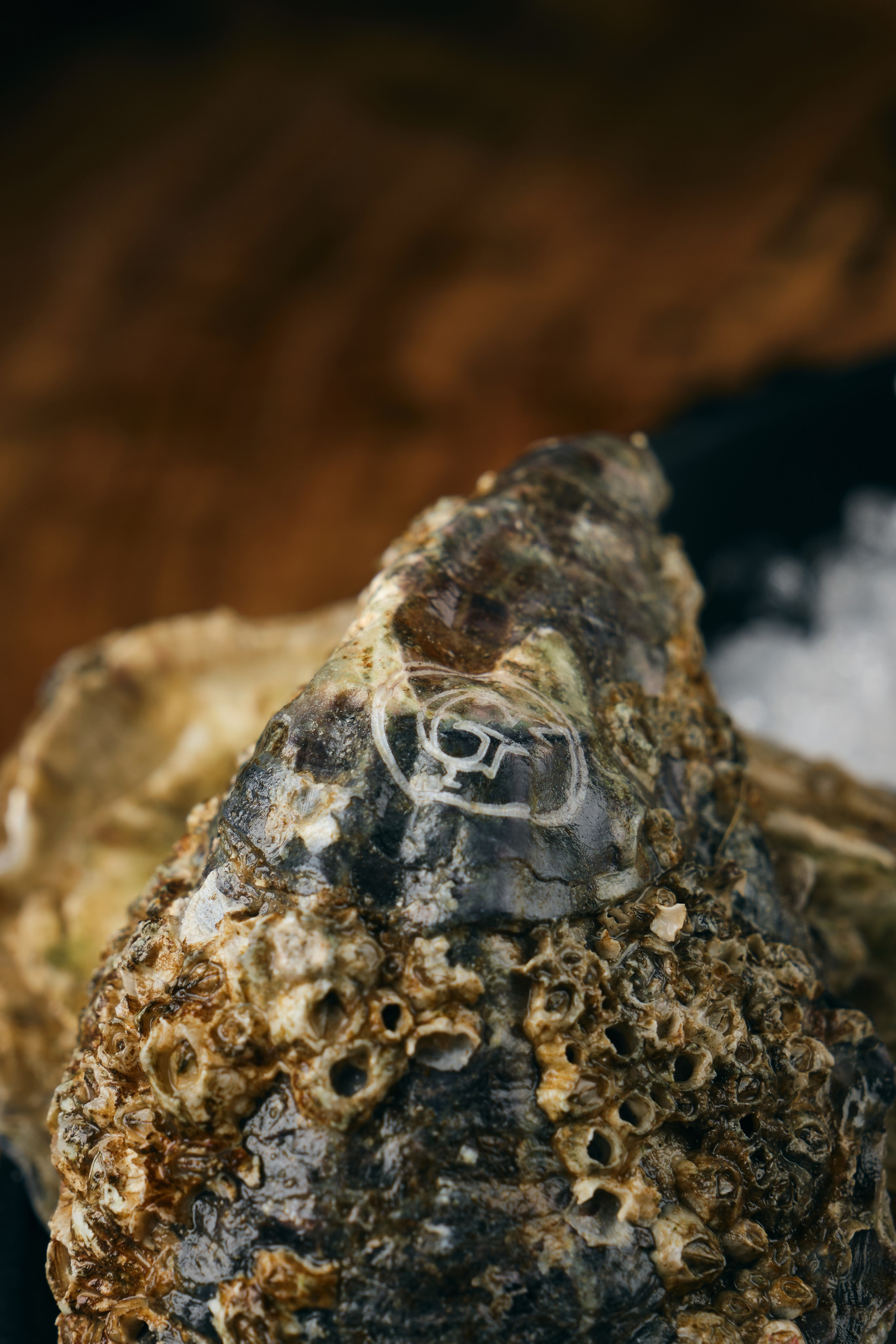 Etro. Коммерческий фотограф Астана. Fashion съемка Food съемка, Reels