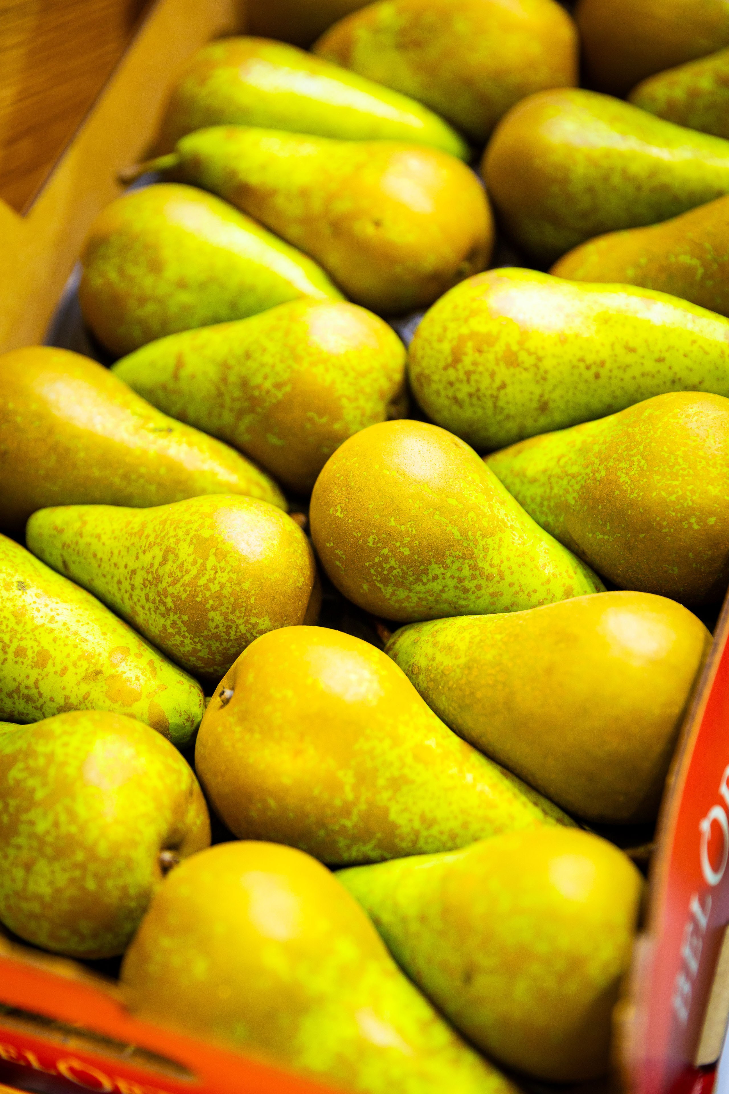 Asia Fruit Logistica [Гонконг 4–6 сентября 2024 г.]. Фотограф Виноградов Константин