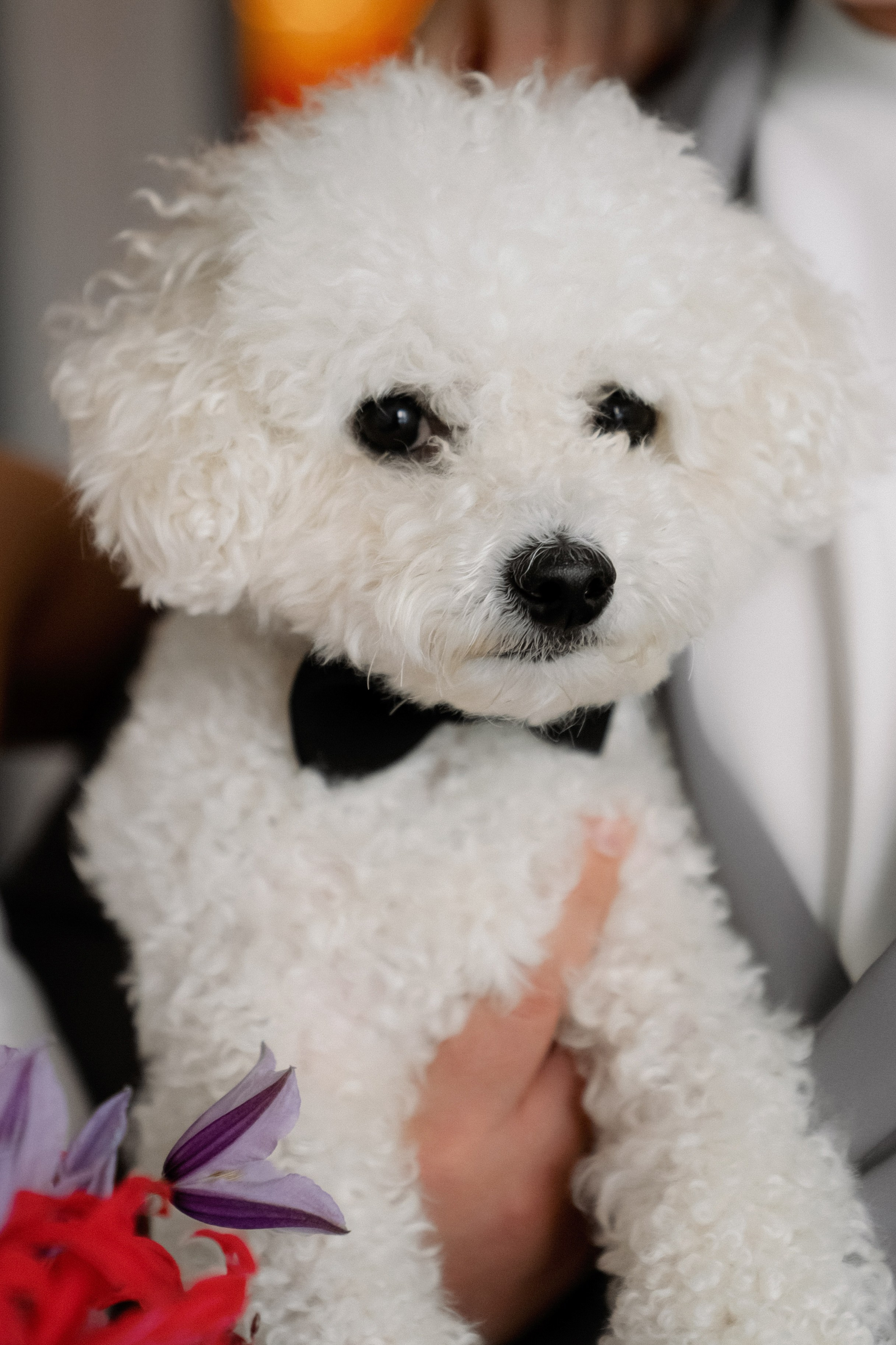 Анна и Савва