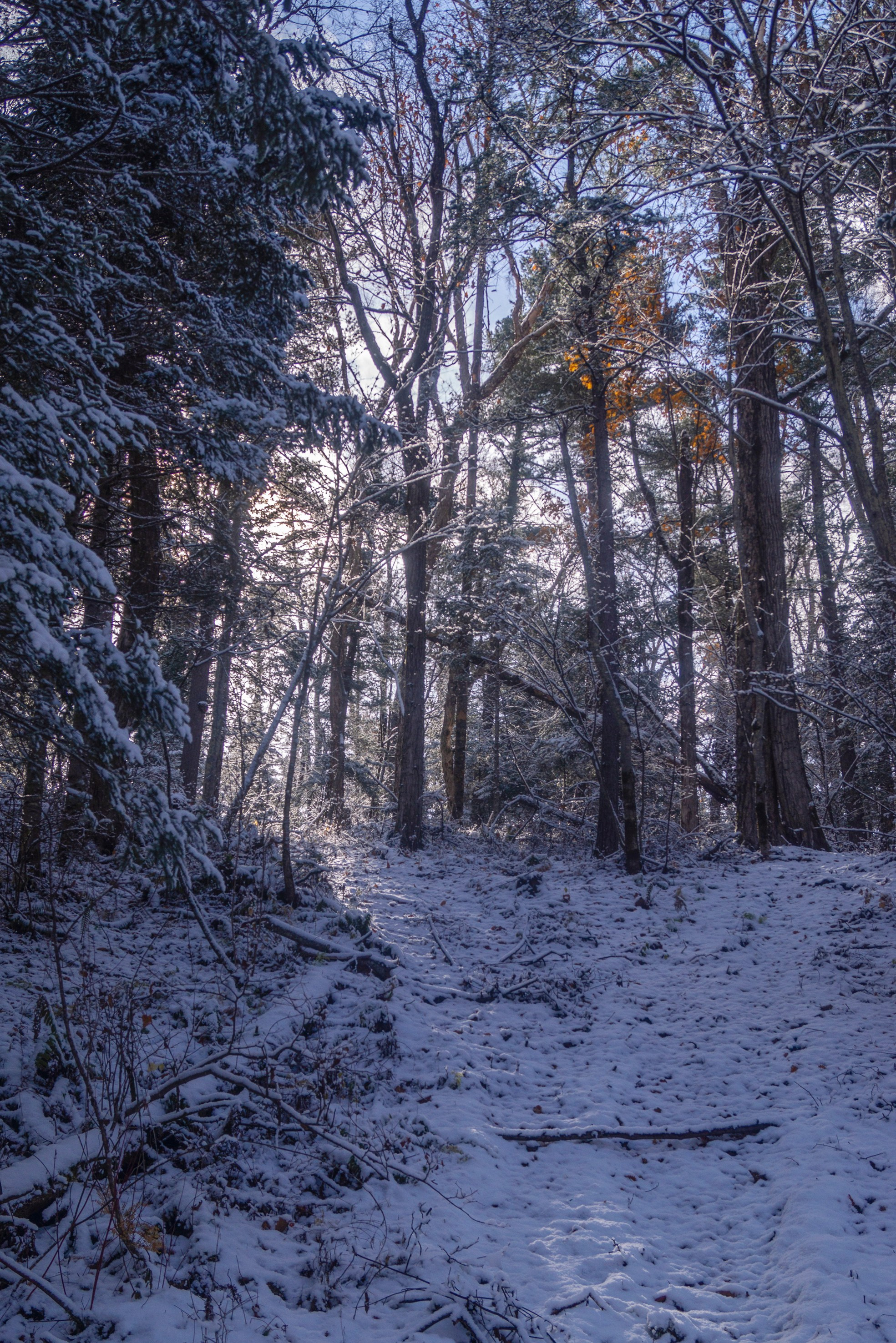 Природа Хабаровского края. Команда фотографов Кристины Ивановой