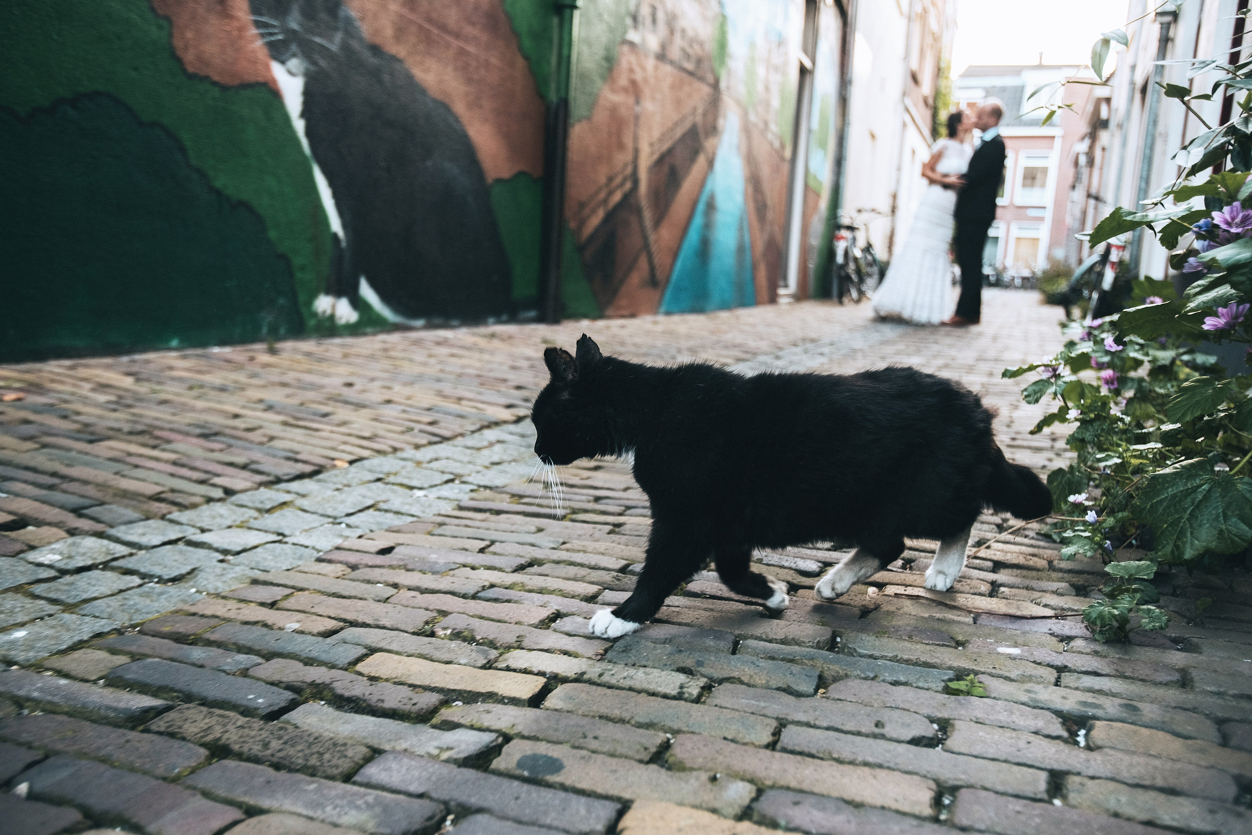 Любить в Нидерландах. Свадебный фотограф в Смоленске Анна Казакова. Свадебные фотосессии, лавстори (Love Story) и выездные съемки по всей России