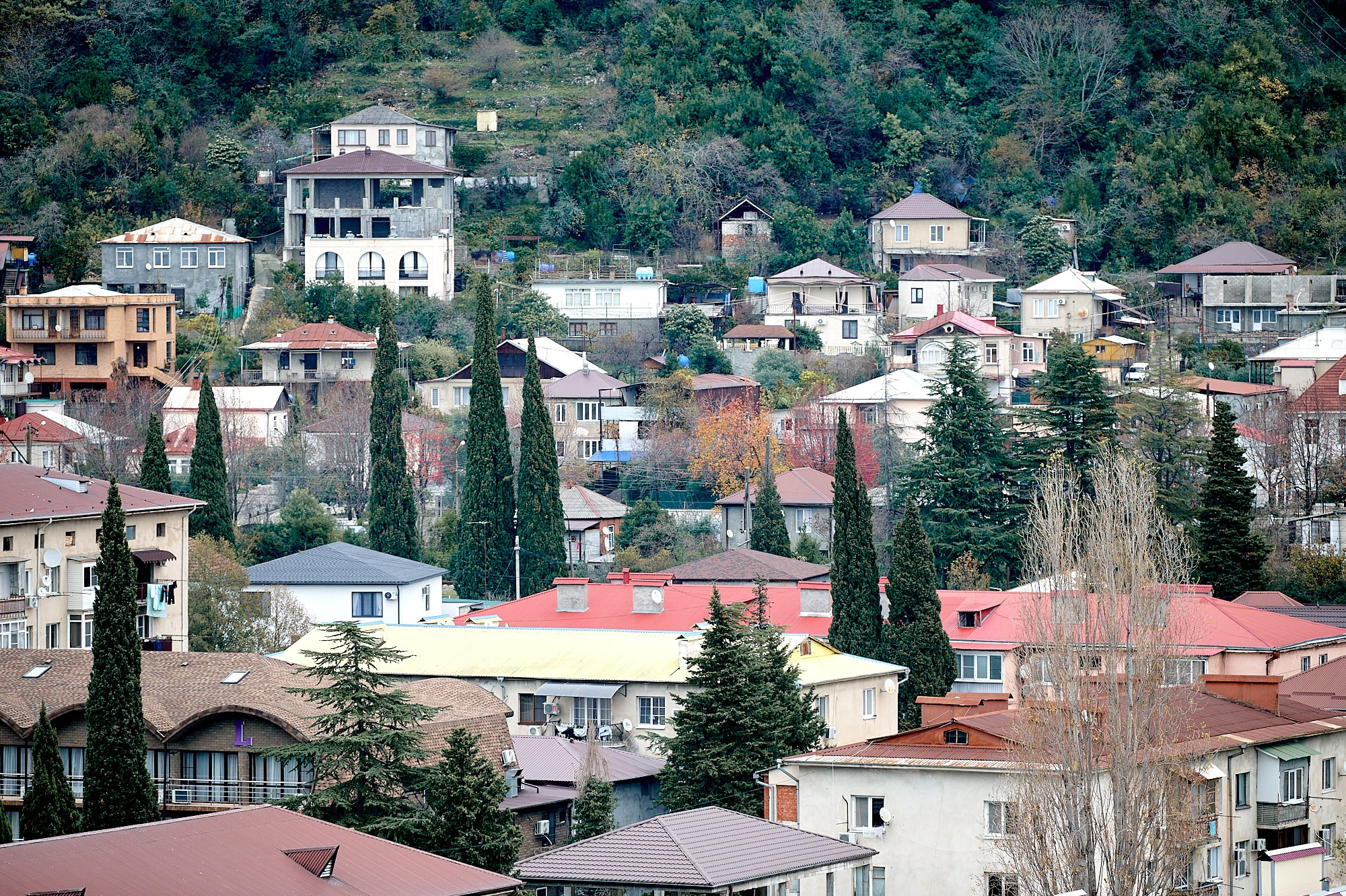 Гагра, Абхазия. Декабрь 2024. Фотографии отовсюду и обо всем