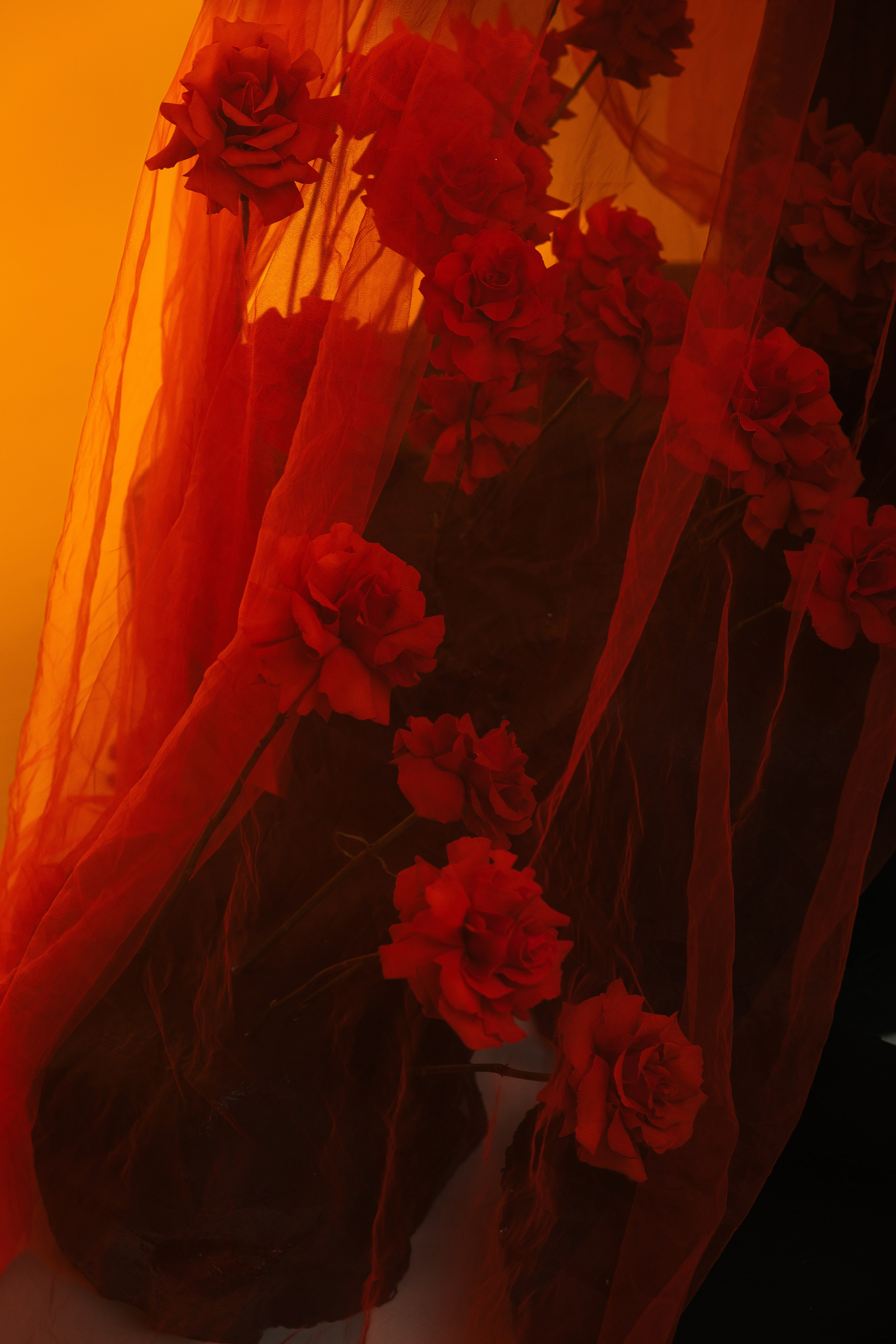 Fire rose. Свадебный и портретный фотограф в Ростове на Дону Андо Саргсян