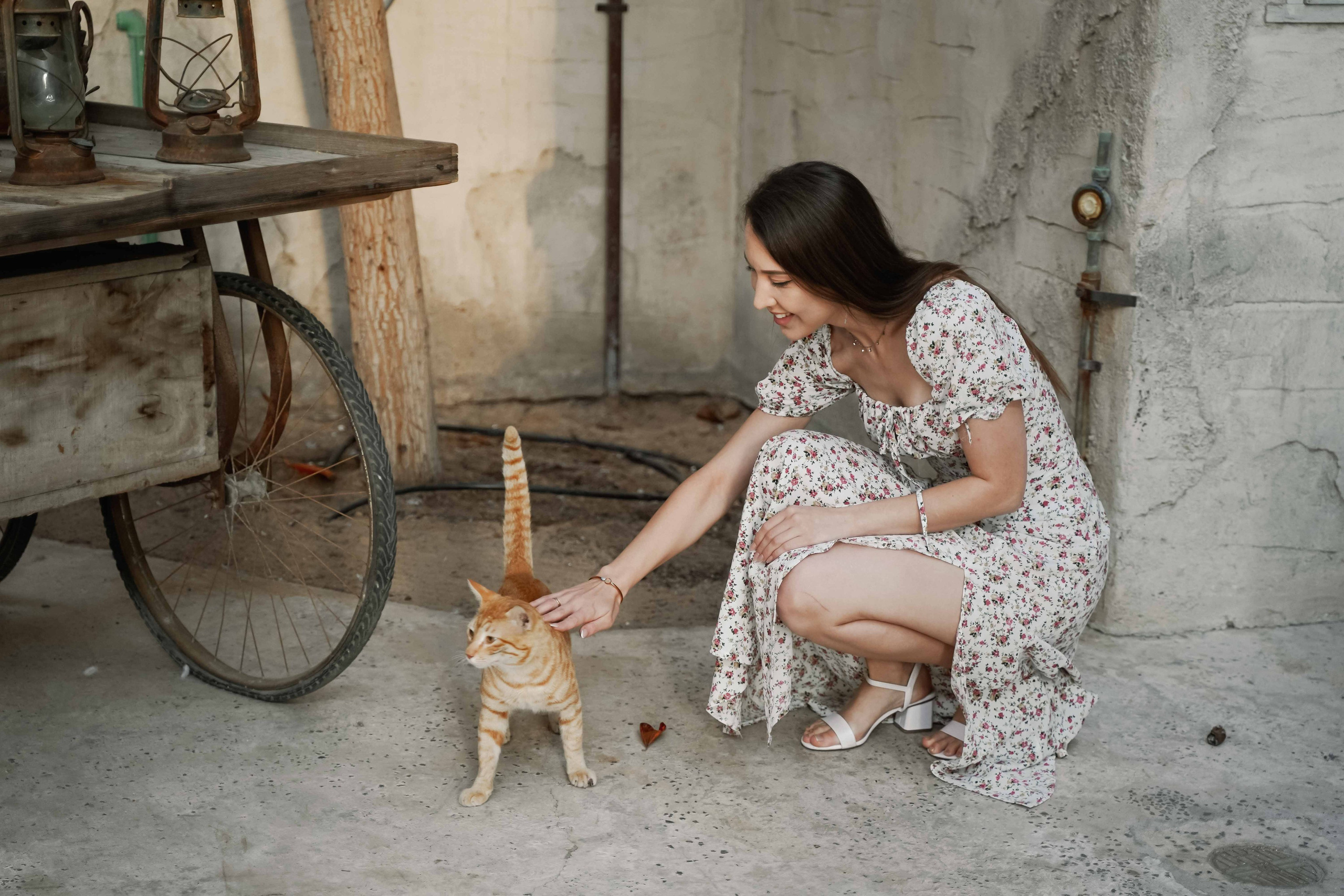 Фото старый город дубай. Фотограф и видеограф в Москве и Абу Даби Мария Кулагина