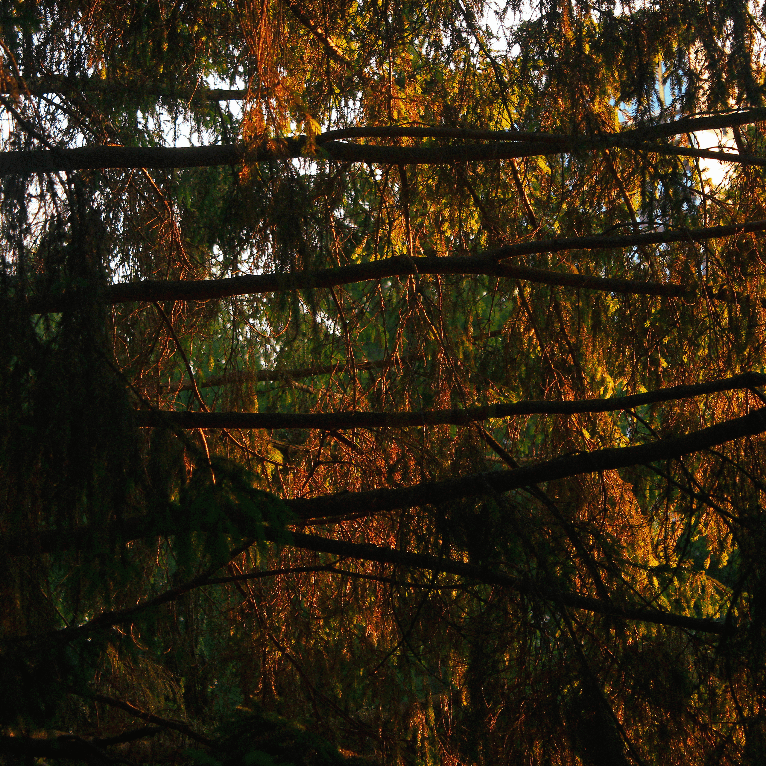 Summertime. Фотограф/дизайнер в Екатеринбурге Хитрый Дмитрий
