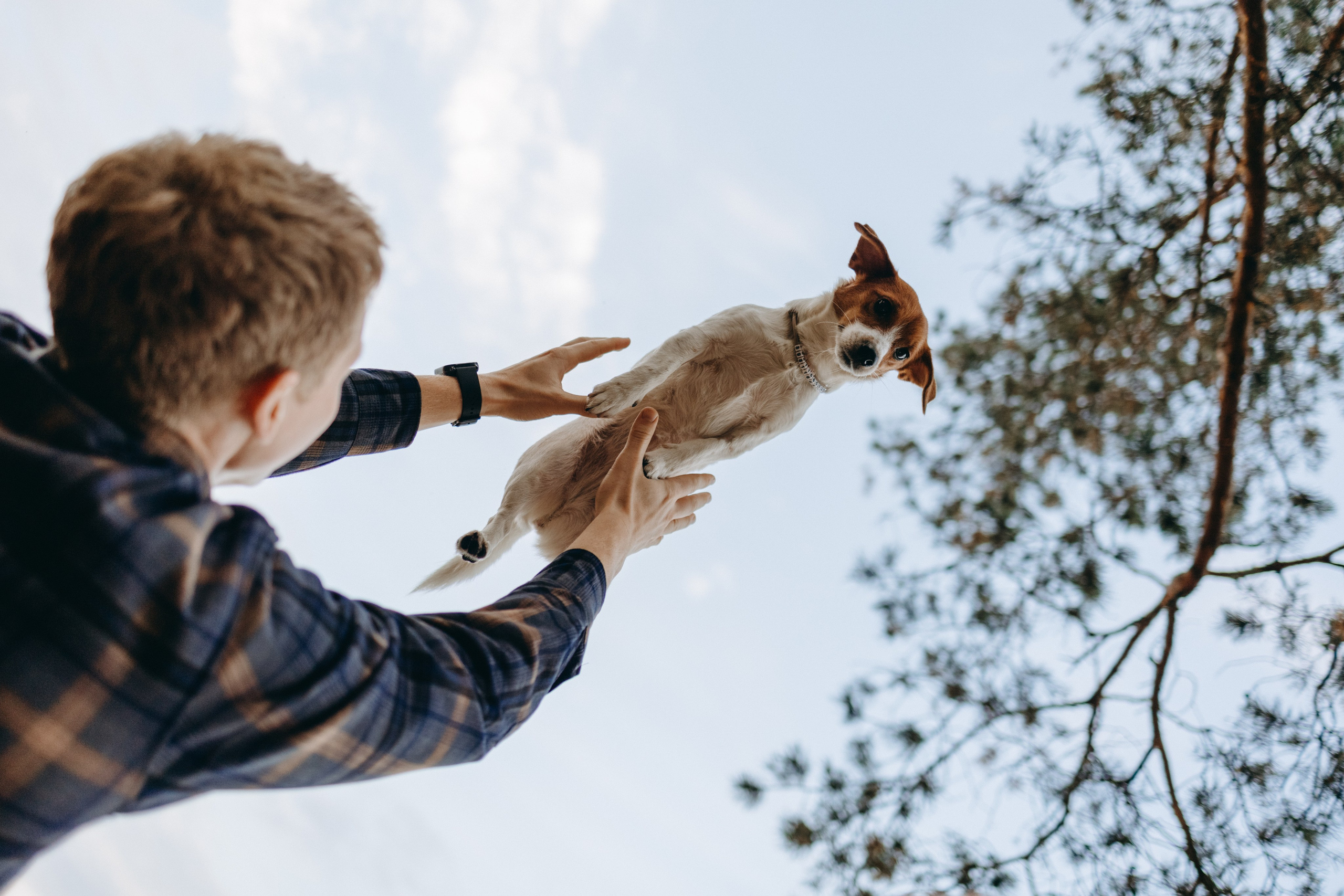 Лея и ее семья. Фотограф — Анималист | Санкт-Петербург