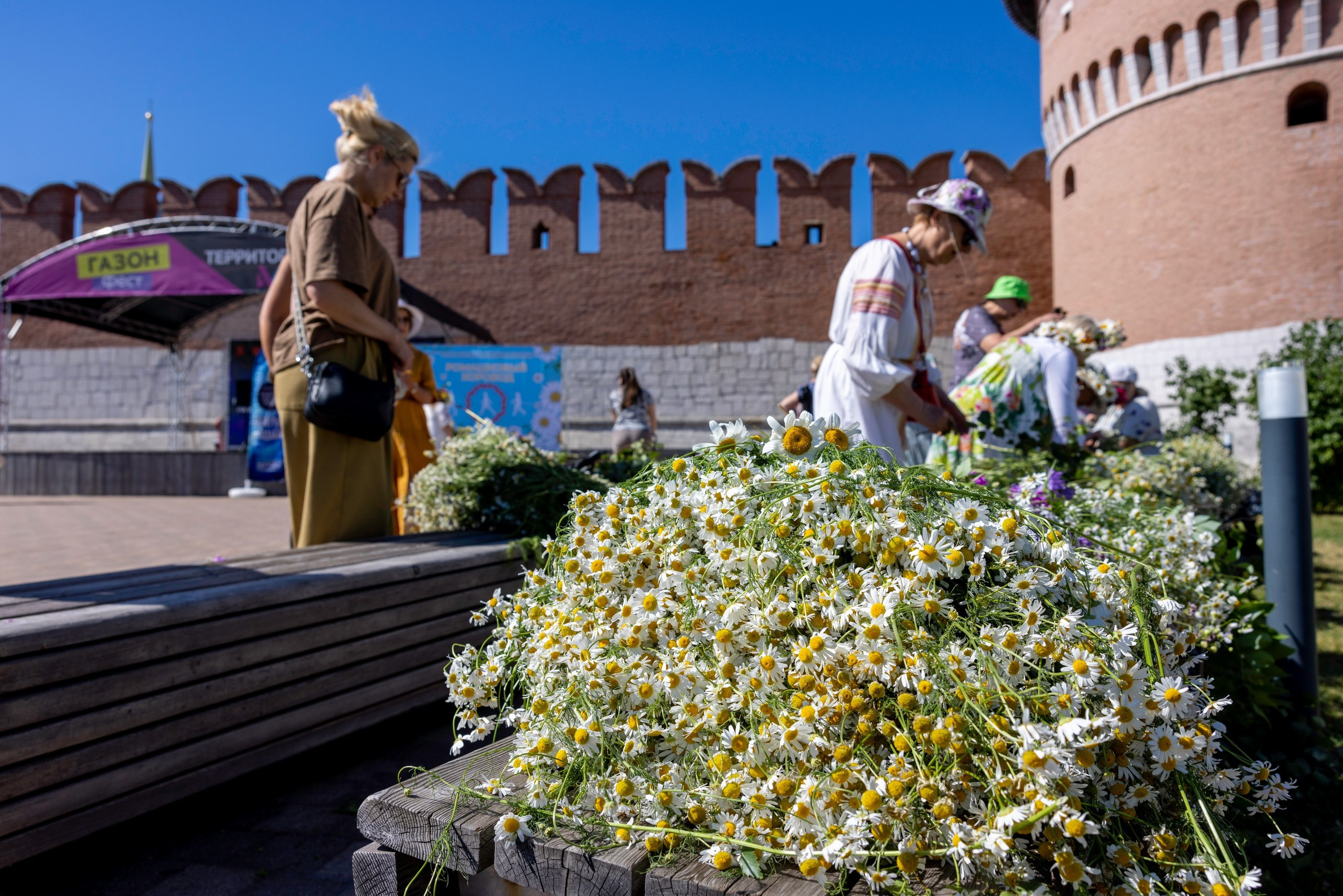 Фестиваль «Ромашковый хоровод». Северная ходьба. Фотограф в Туле Крупский АнДРей. Фотостудия «КАДР71» в Туле