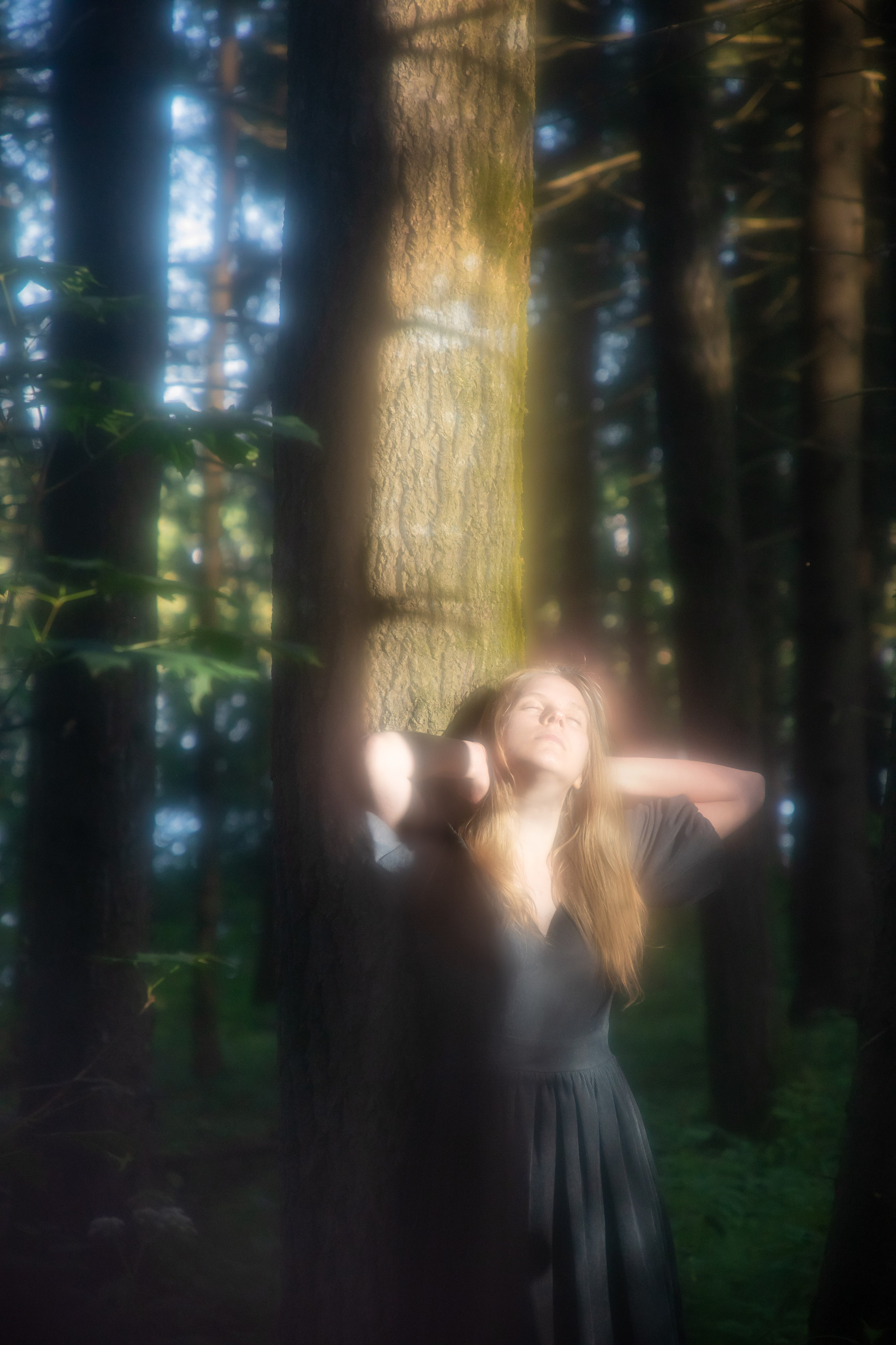 Рассветная в лесу. Юлия Башкатова, сказочный фотограф, Москва