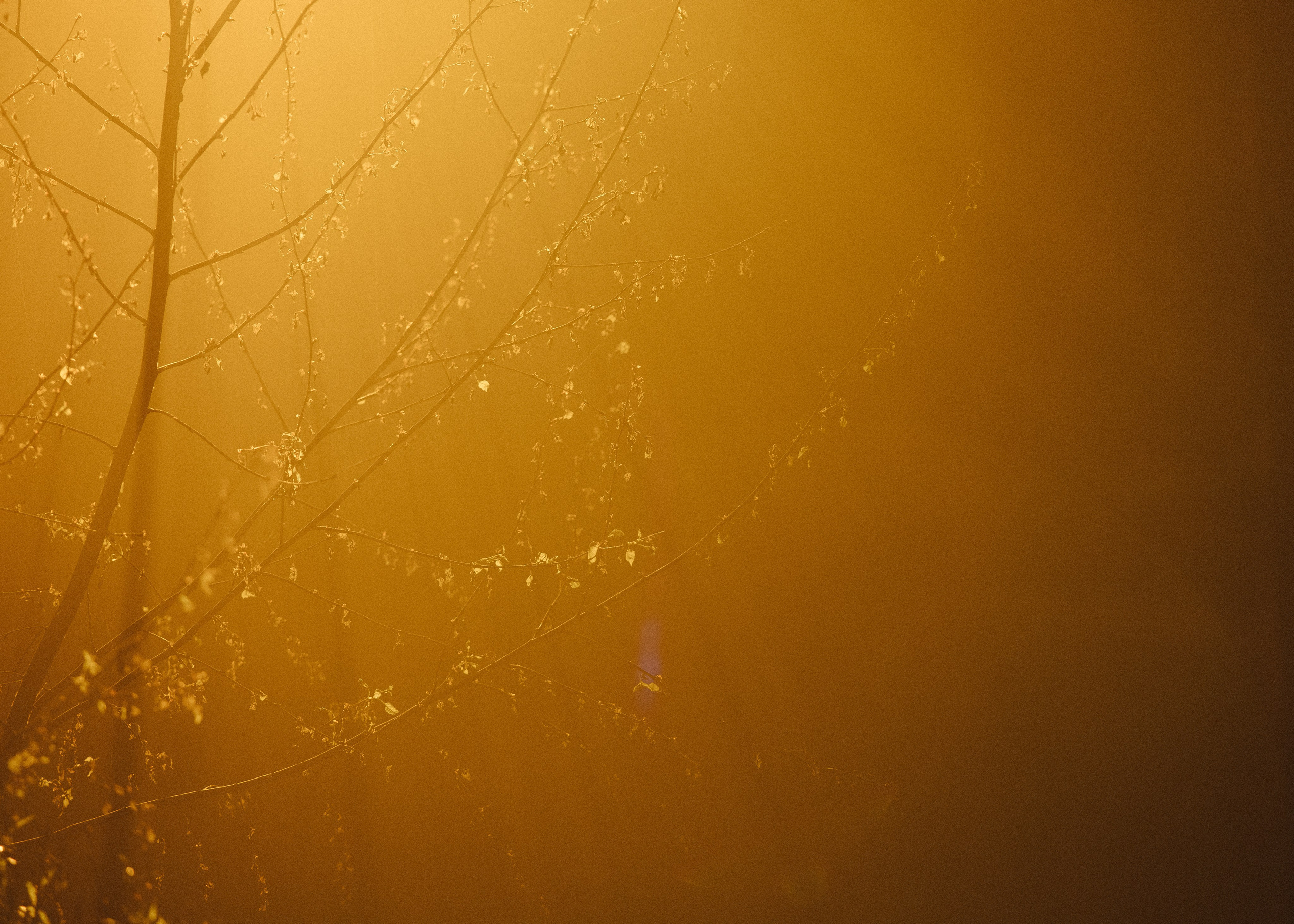 ARCHITECTS. Свадебный фотограф Минск