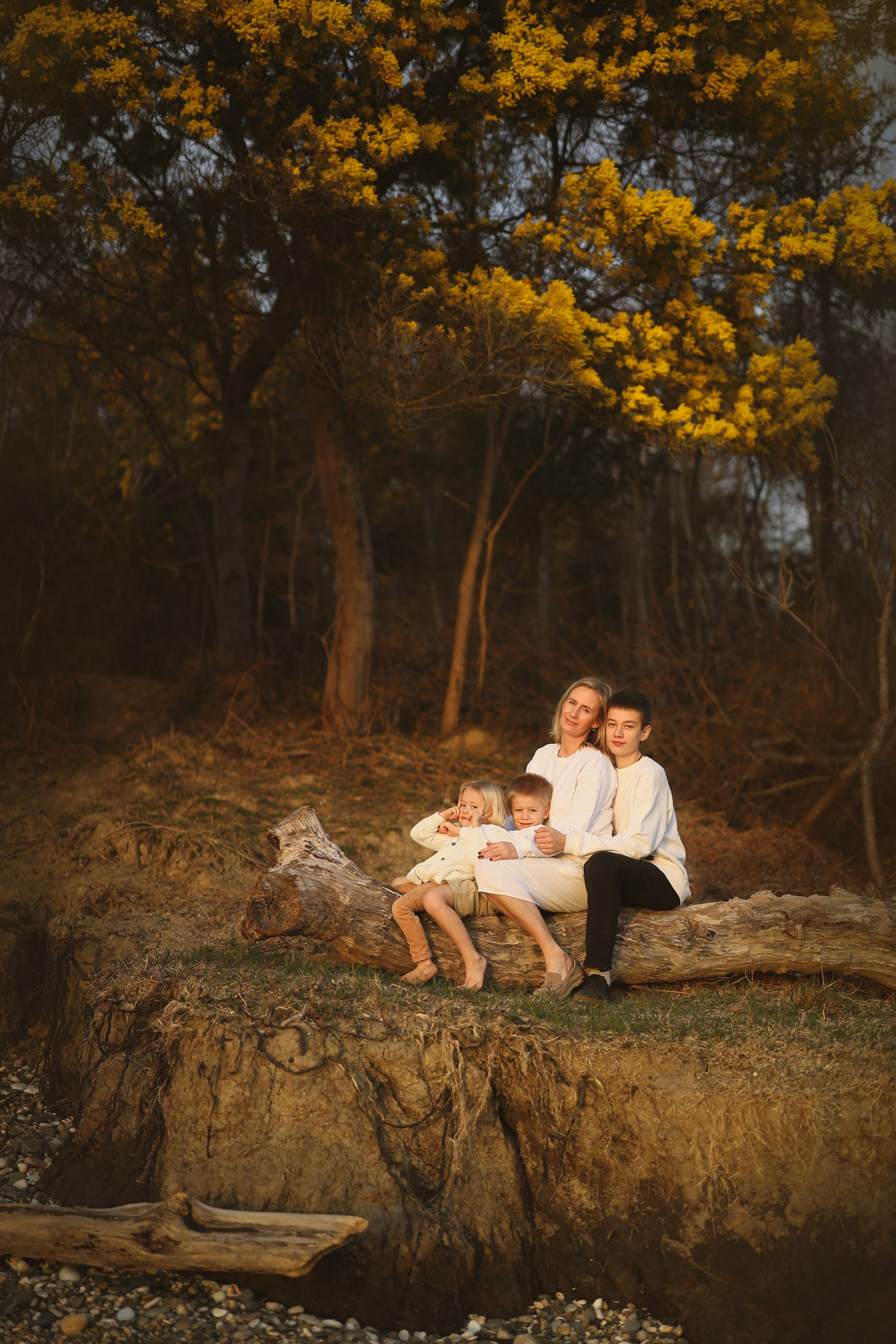 Цветение мимозы фотосессии в Абхазии