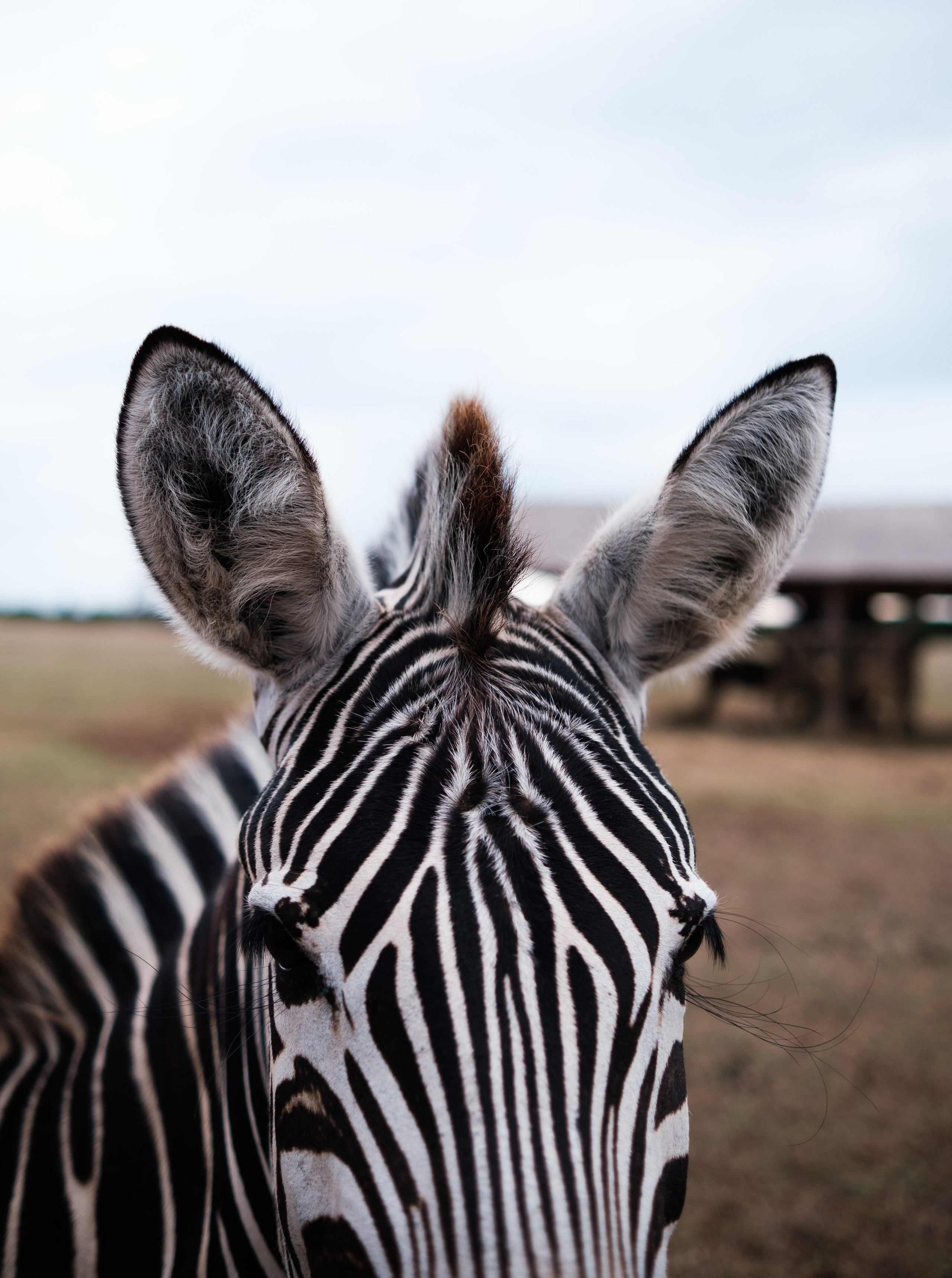 Стрит / Окружение / Архитектура. Фотограф Александр Чернышёв