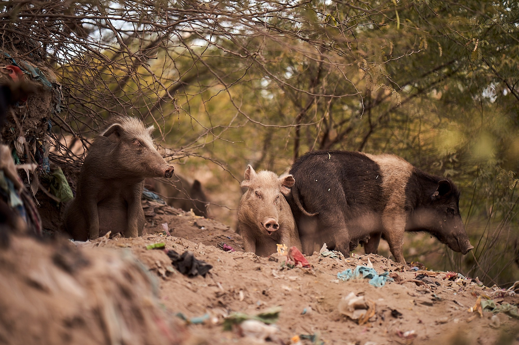Travel портфолио. Репортажный и детский фотограф в Москве Илья Еренбург