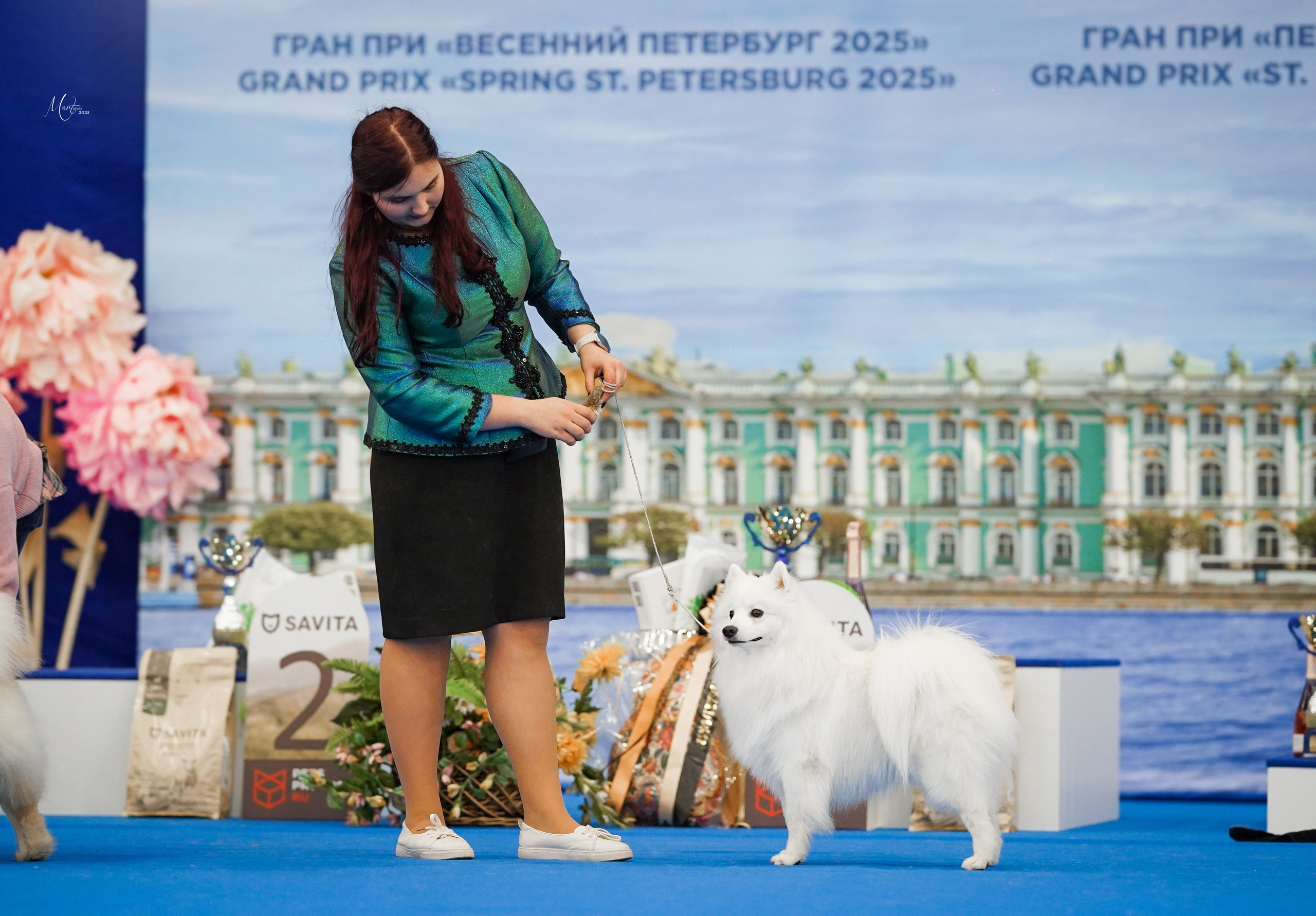 Выставки 2025. Фотограф-анималист в Санкт-Петербурге Яна Мартынова