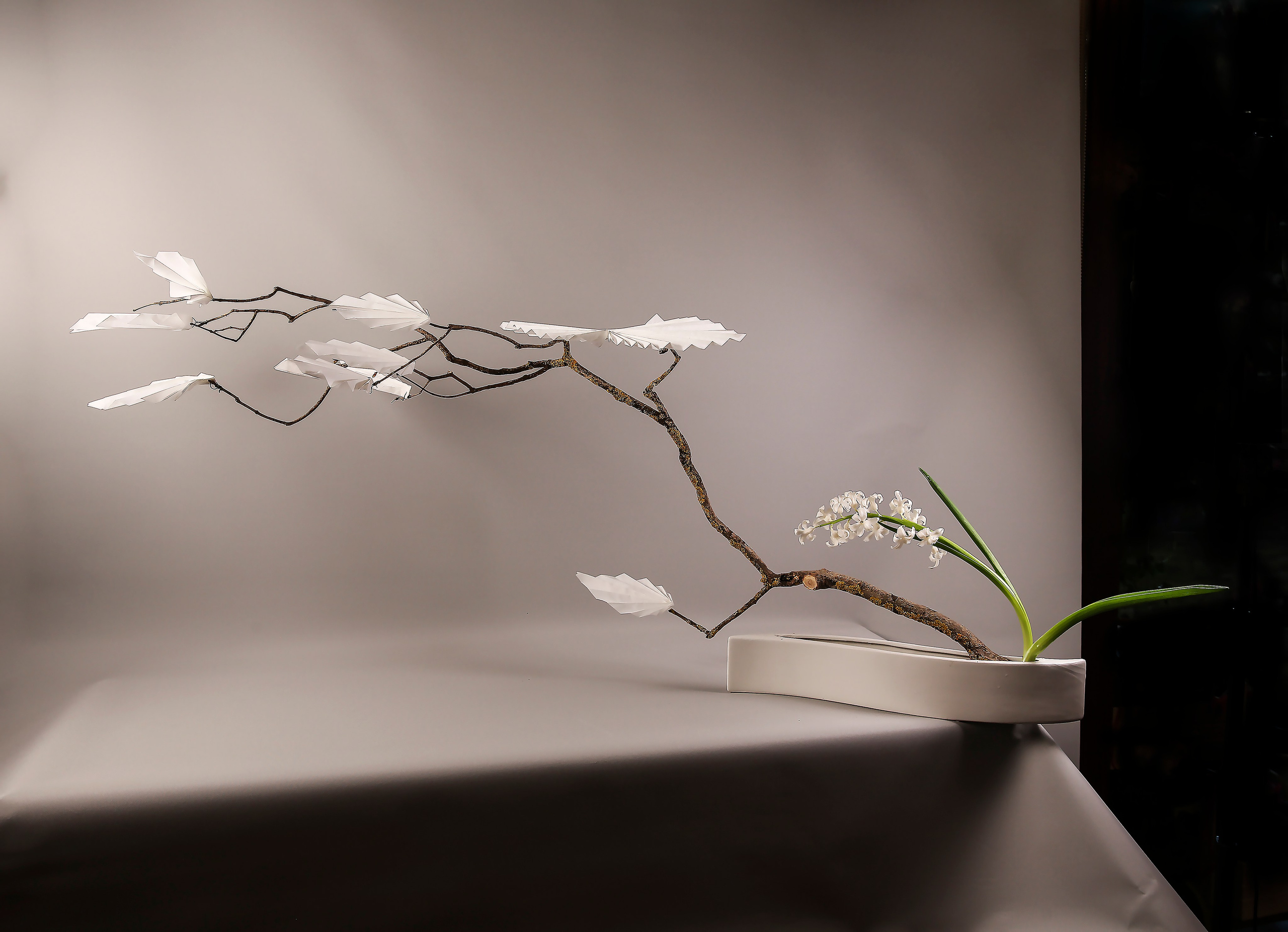 Икебана Барне. Фотограф Анна Барне