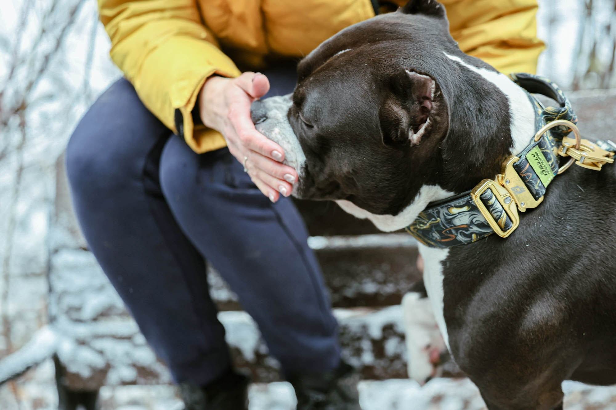 Бумер 24/11/24. Виктория Михайловская. Фотограф-анималист. Москва