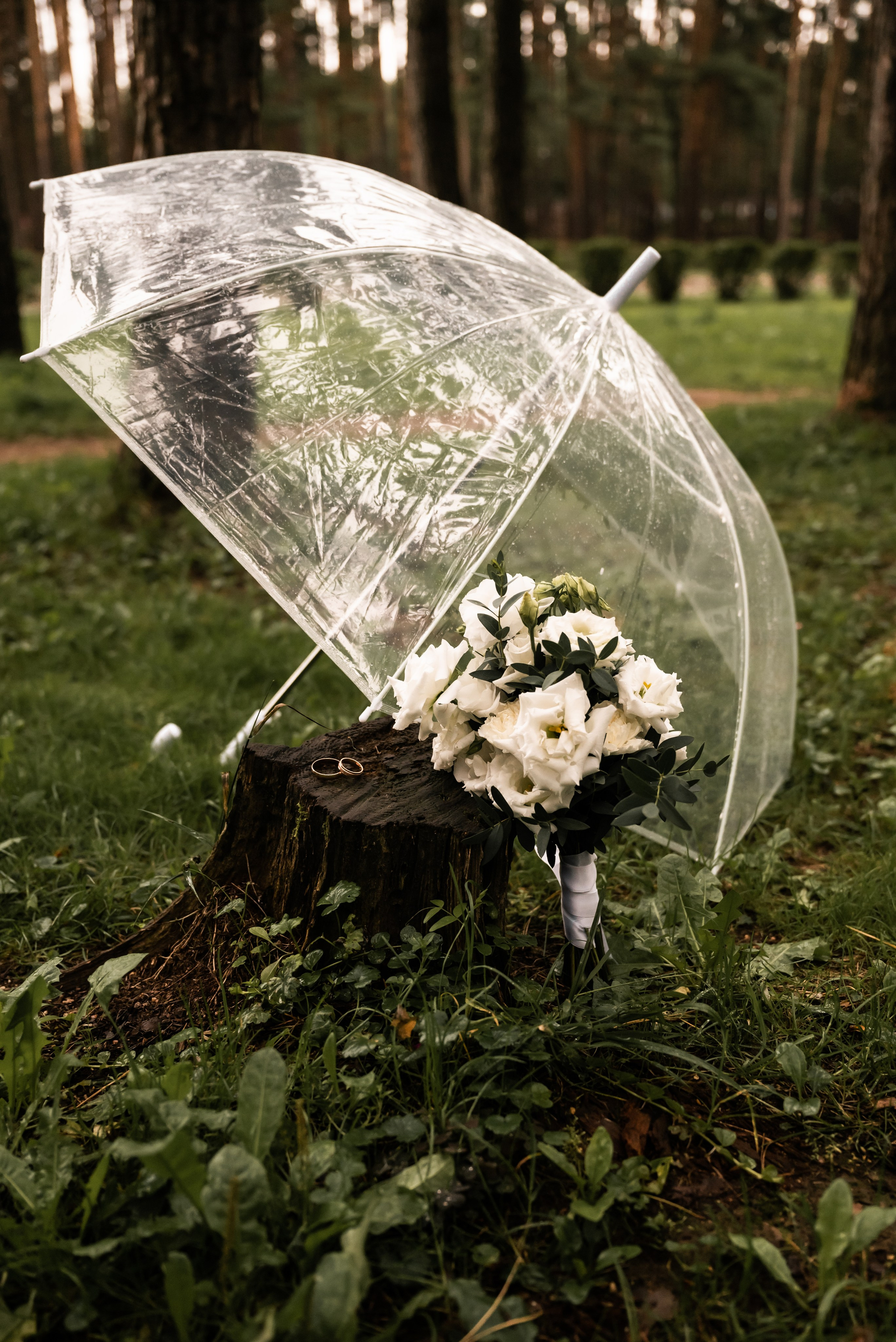 Свадьба Олега и Марии в Домодедово. Фотограф Ксения Огородова портфолио