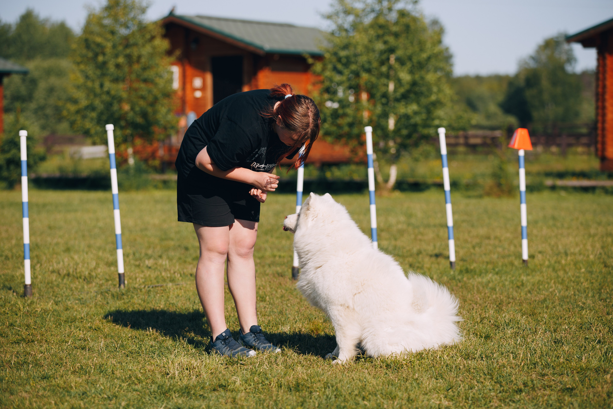 Кинологический лагерь в Горыныче. Фотограф анималист Кристина Карпова, Москва