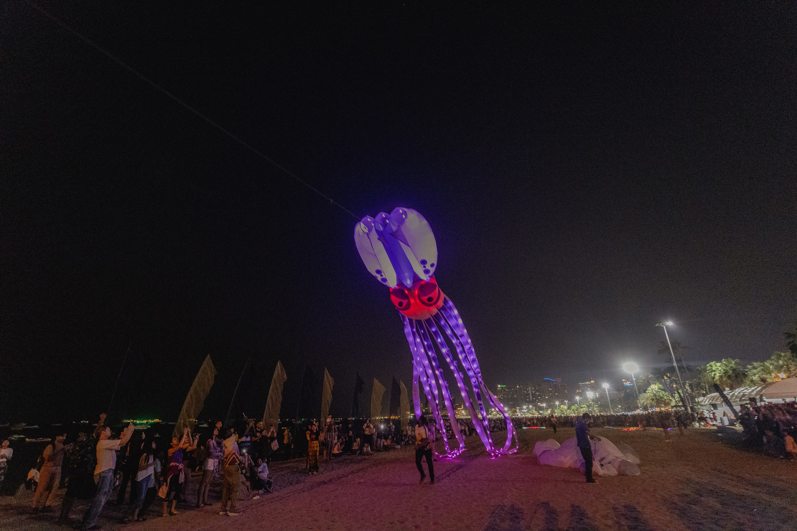 PATTAYA INTERNATIONAL KITE ON THE BEACH 2024. Photographer Sonkina Tatiana (Tanya Ash)