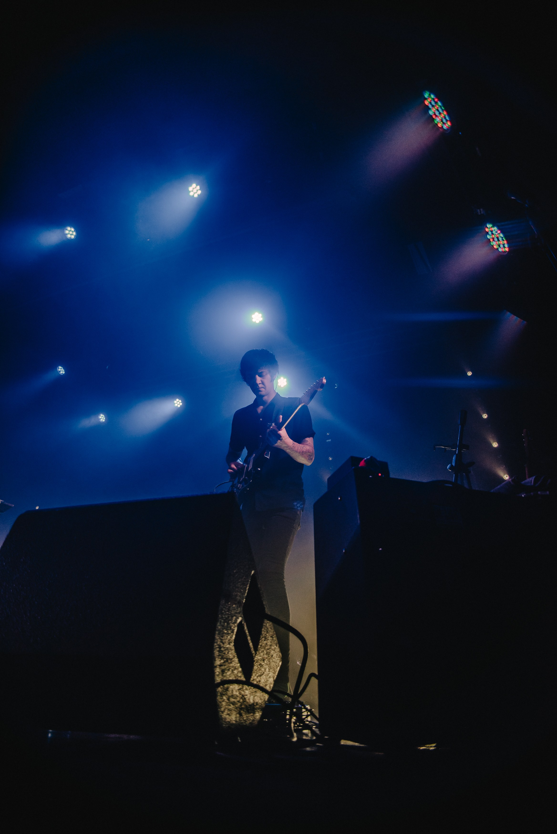 Дельфин | Gaudi. Контент фотограф Илья Урс