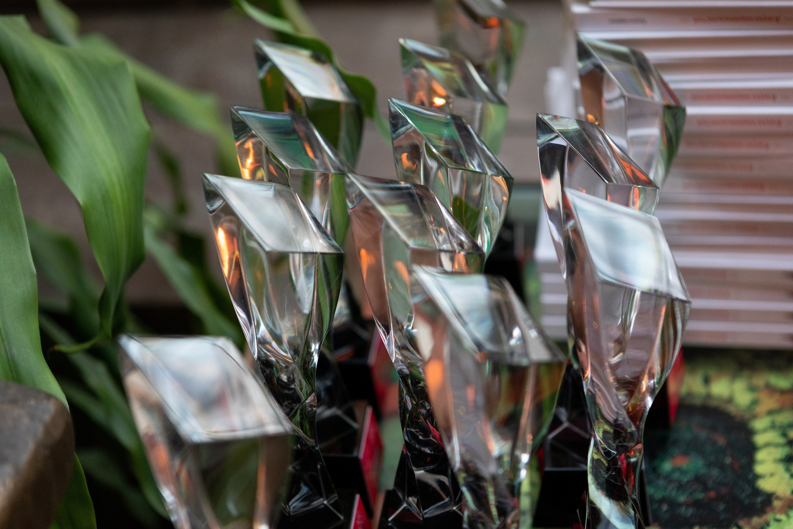 Награждение победителей Всенародной акции «Пою мою Москву». Фотограф Анна Зиновьева