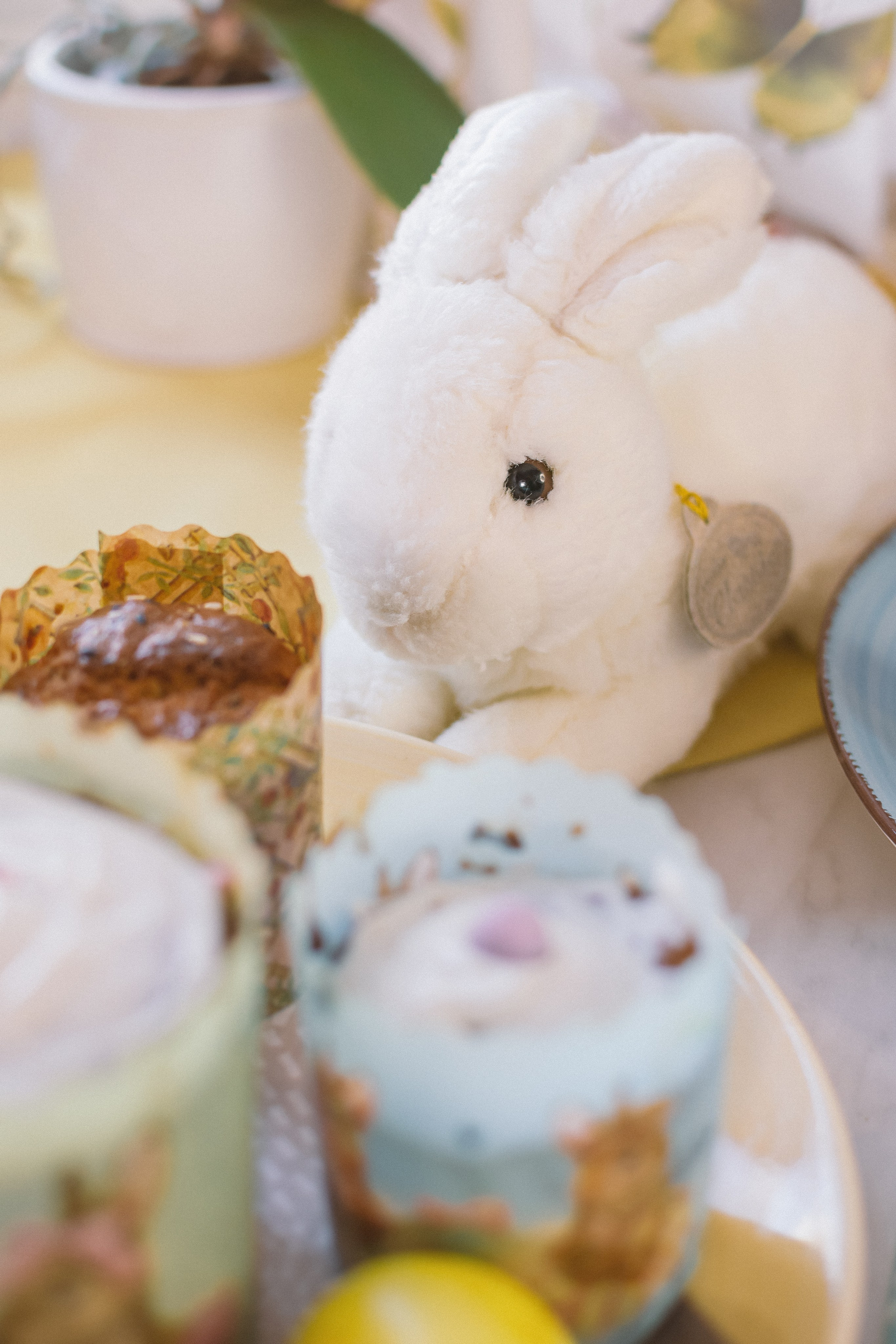 Атмосфера. Предметный и контентный фотограф в Москве и Зеленограде Анастасиевская