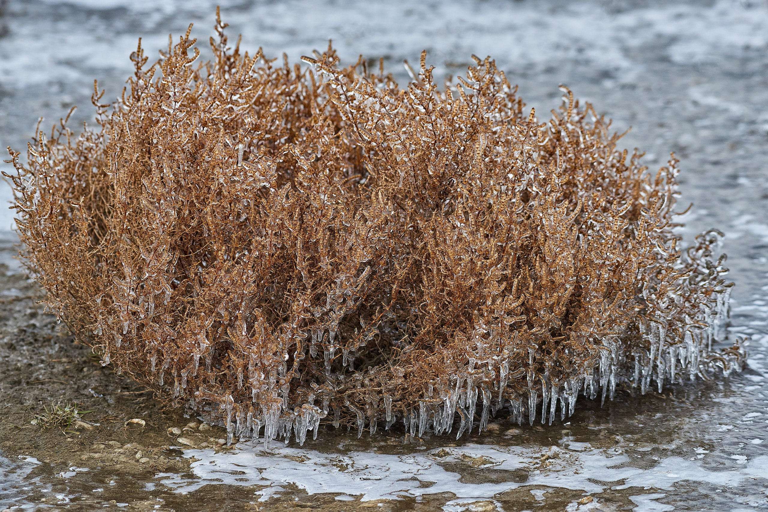 Текстуры и другие фоны. Textures and other. Яркие фото на Чёрном море