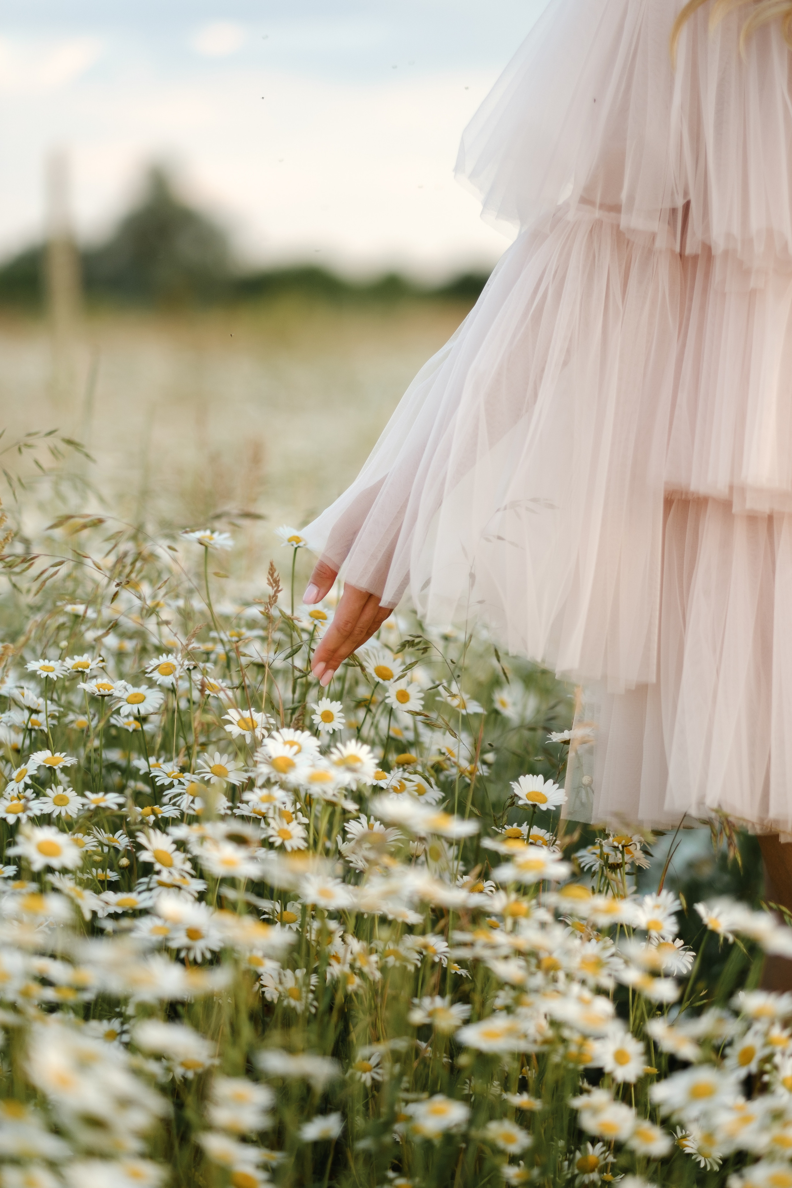 Ромашки. Свадебный фотограф в Брянске Иванникова Елена