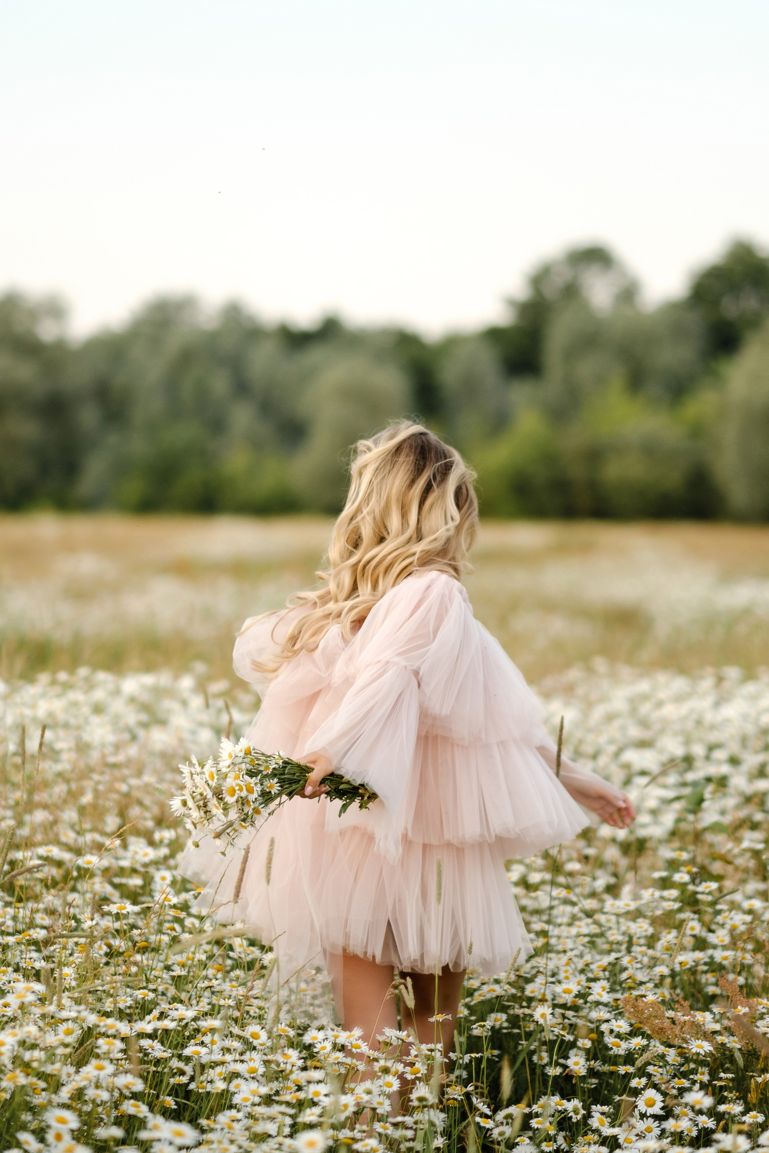 Ромашки. Свадебный фотограф в Брянске Иванникова Елена