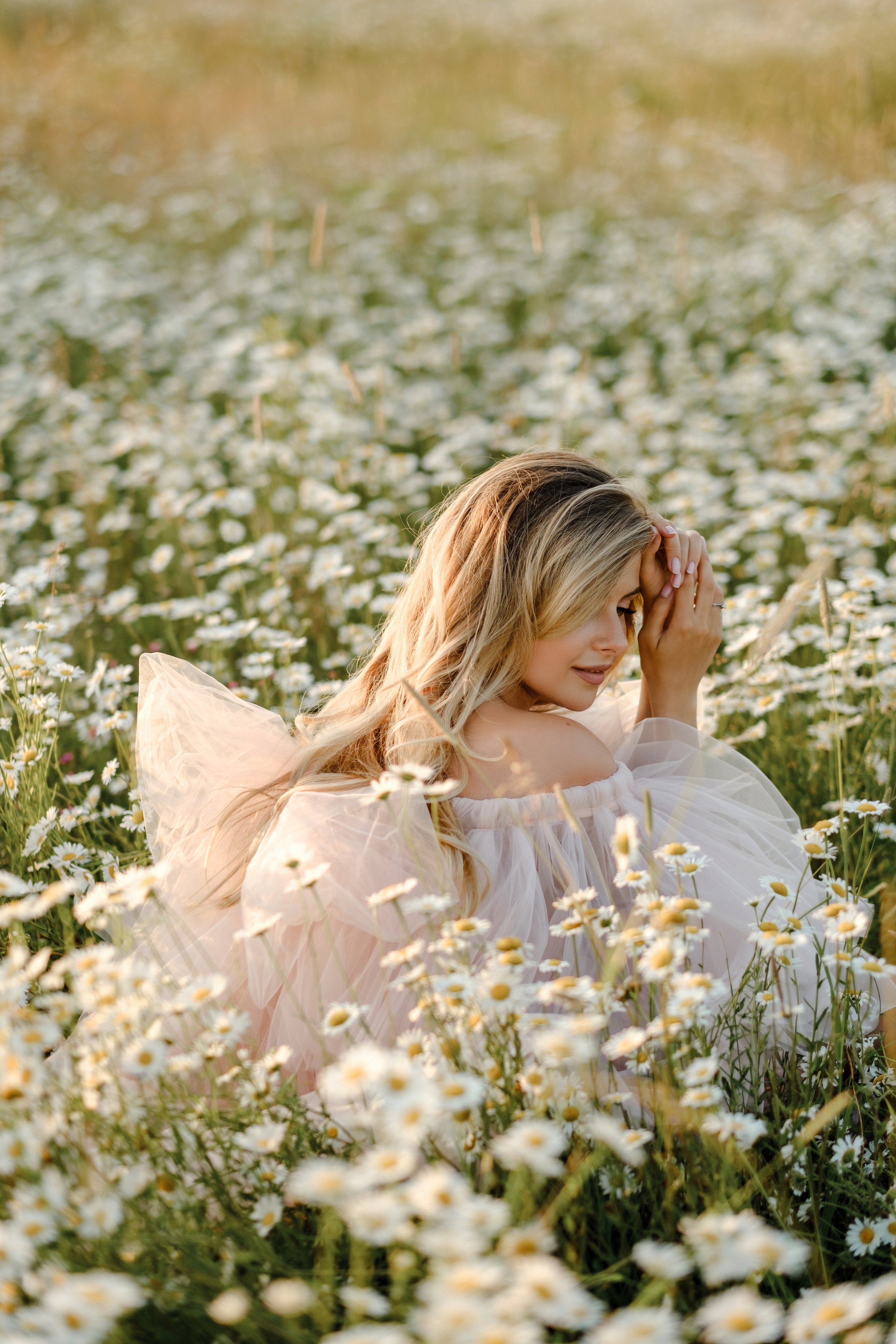 Ромашки. Свадебный фотограф в Брянске Иванникова Елена