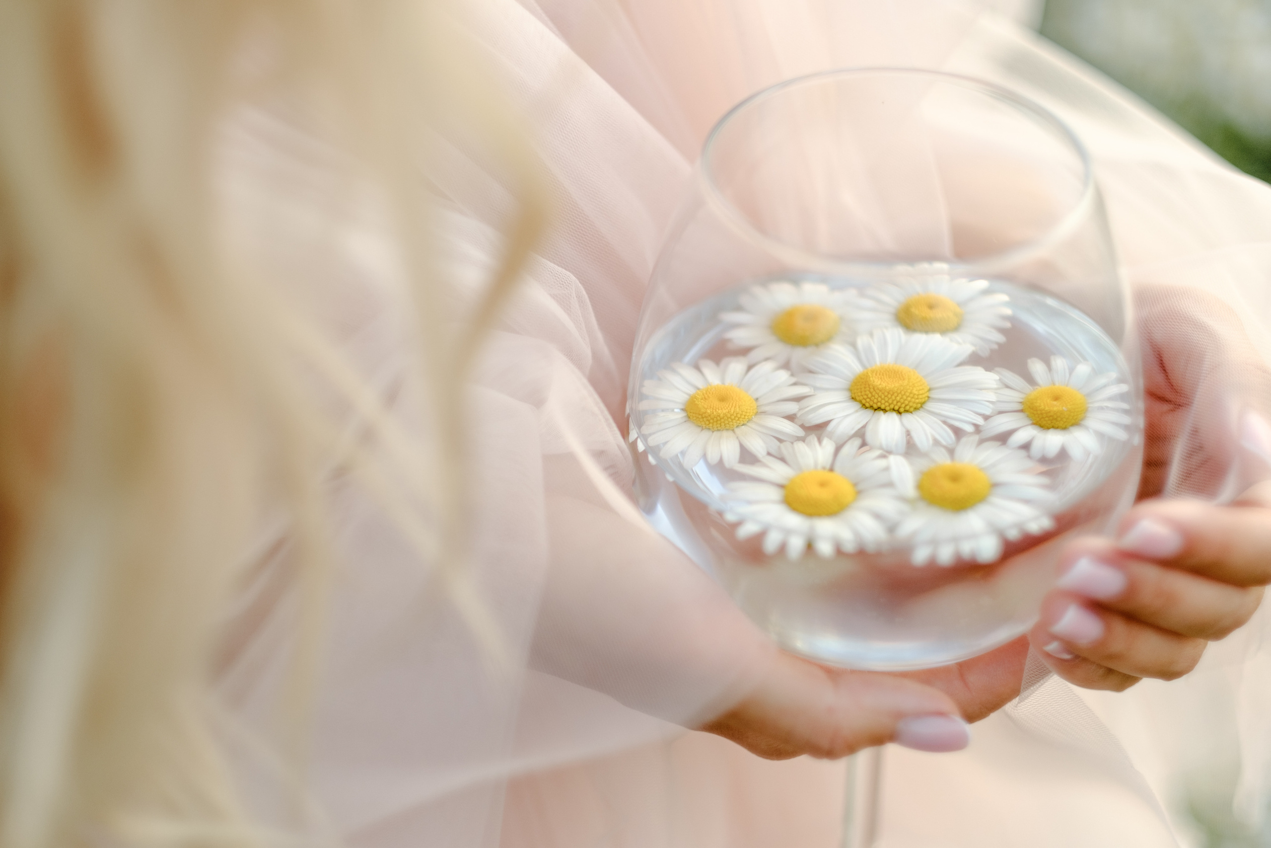 Ромашки. Свадебный фотограф в Брянске Иванникова Елена