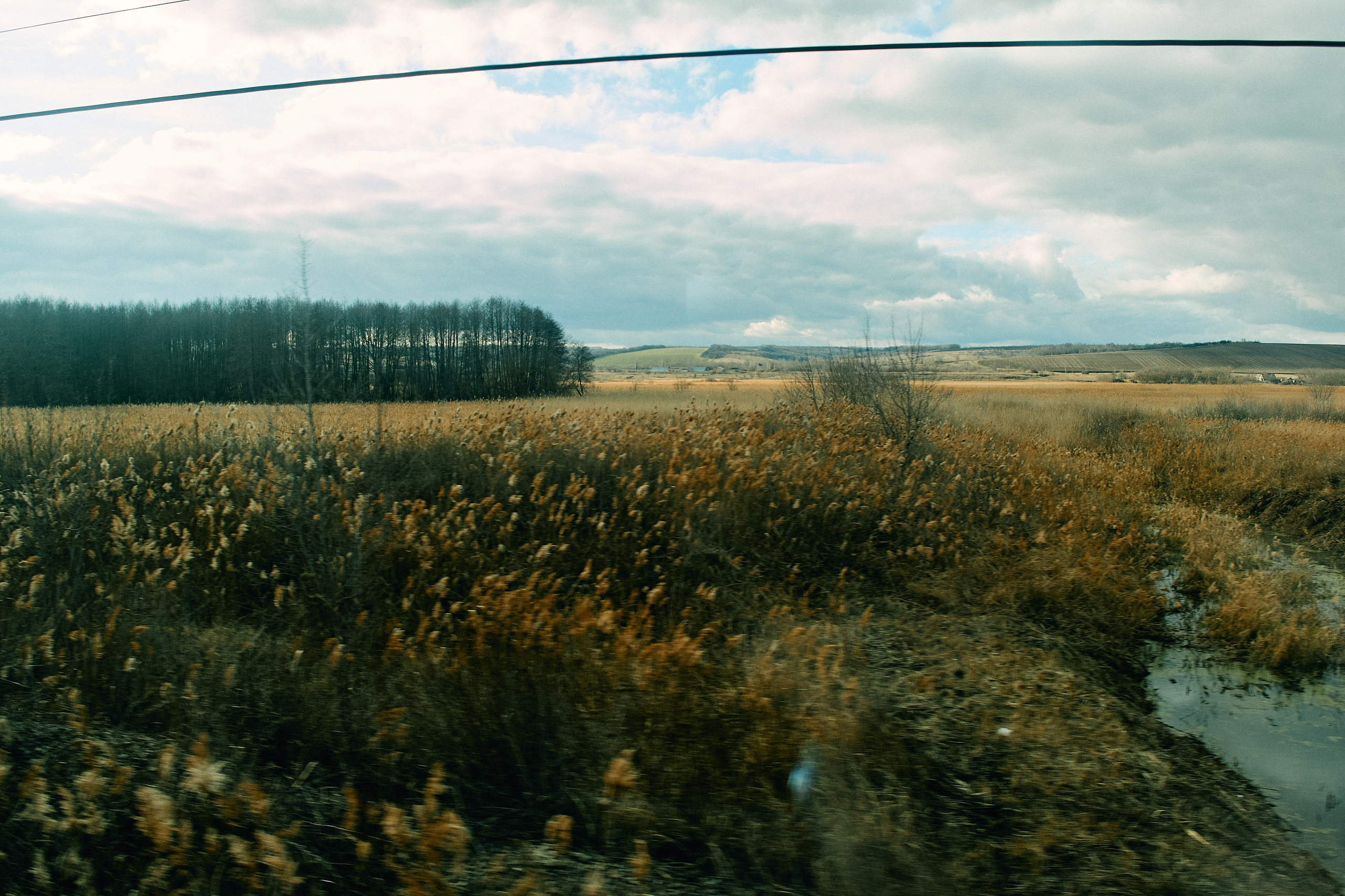 Юг России. Профессиональный Фотограф во Владимире, в Москве и в Суздале — Полина Романычева