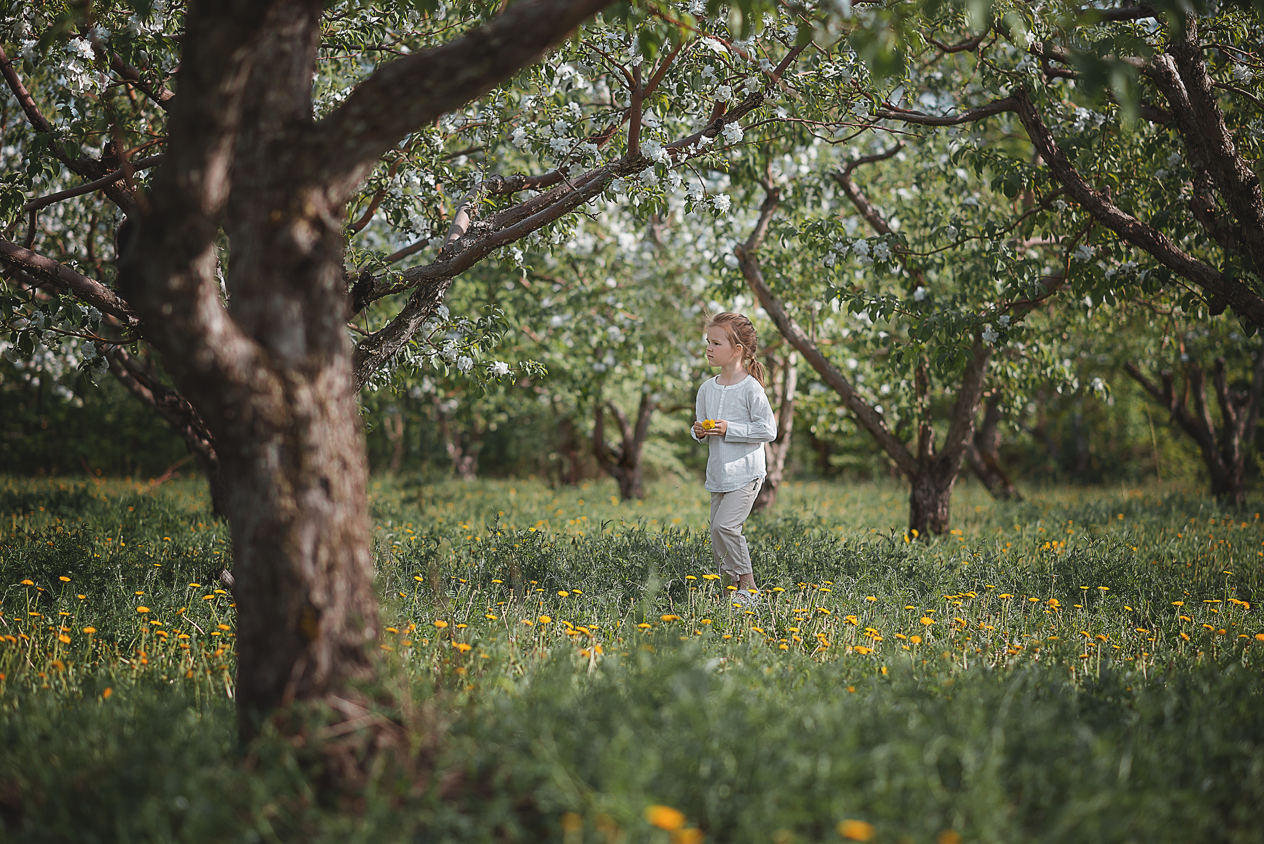 Детская съемка. Фотограф в Тольятти и Самарской области Лариса Фомина