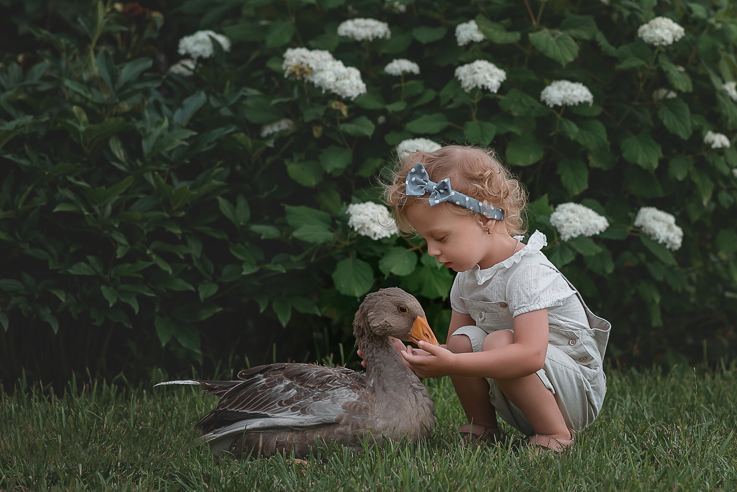 Детская съемка. Фотограф в Тольятти и Самарской области Лариса Фомина