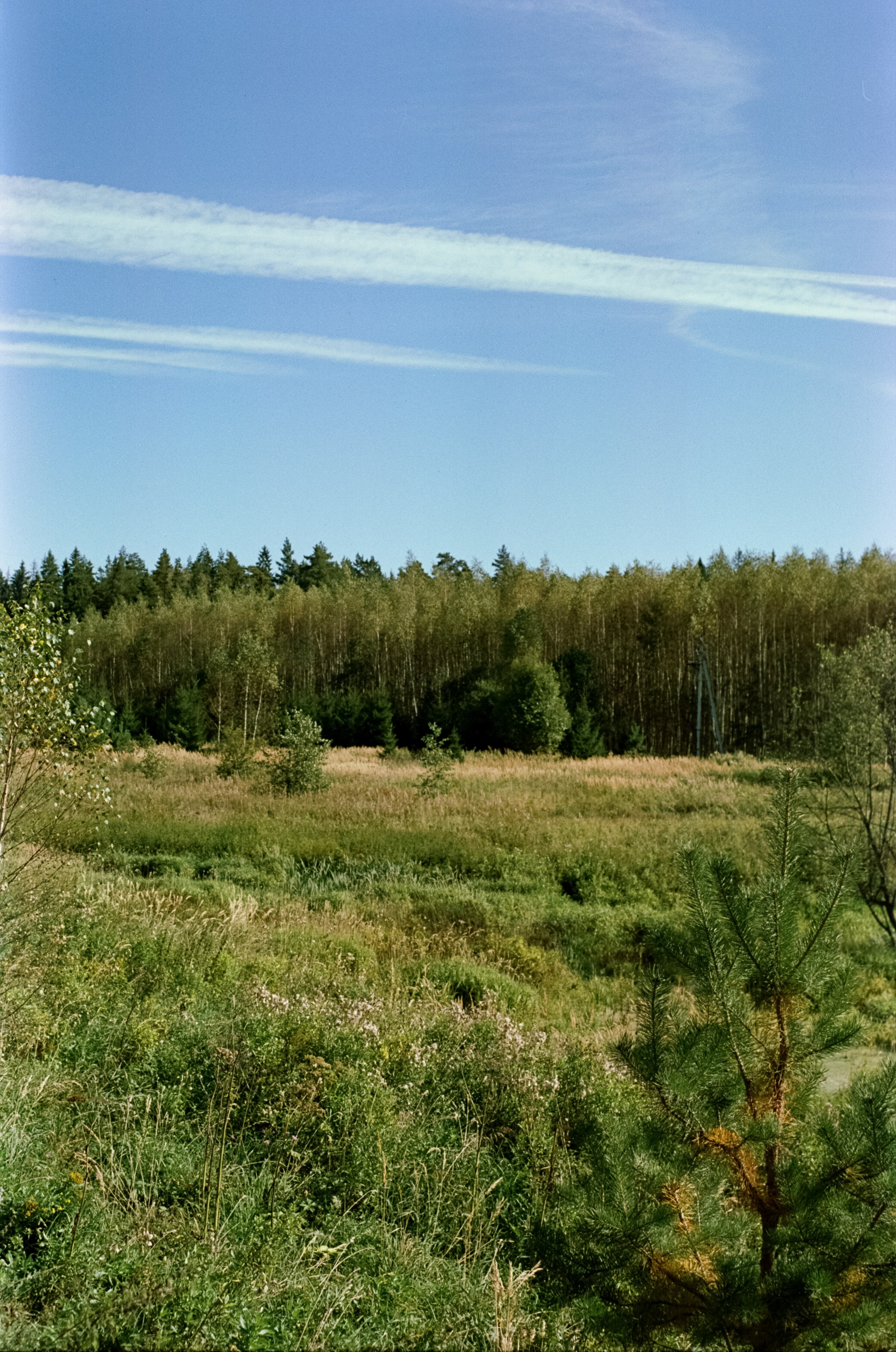 Mamiya-Sekor C 45mm f2.8 N обзор и примеры фотографий