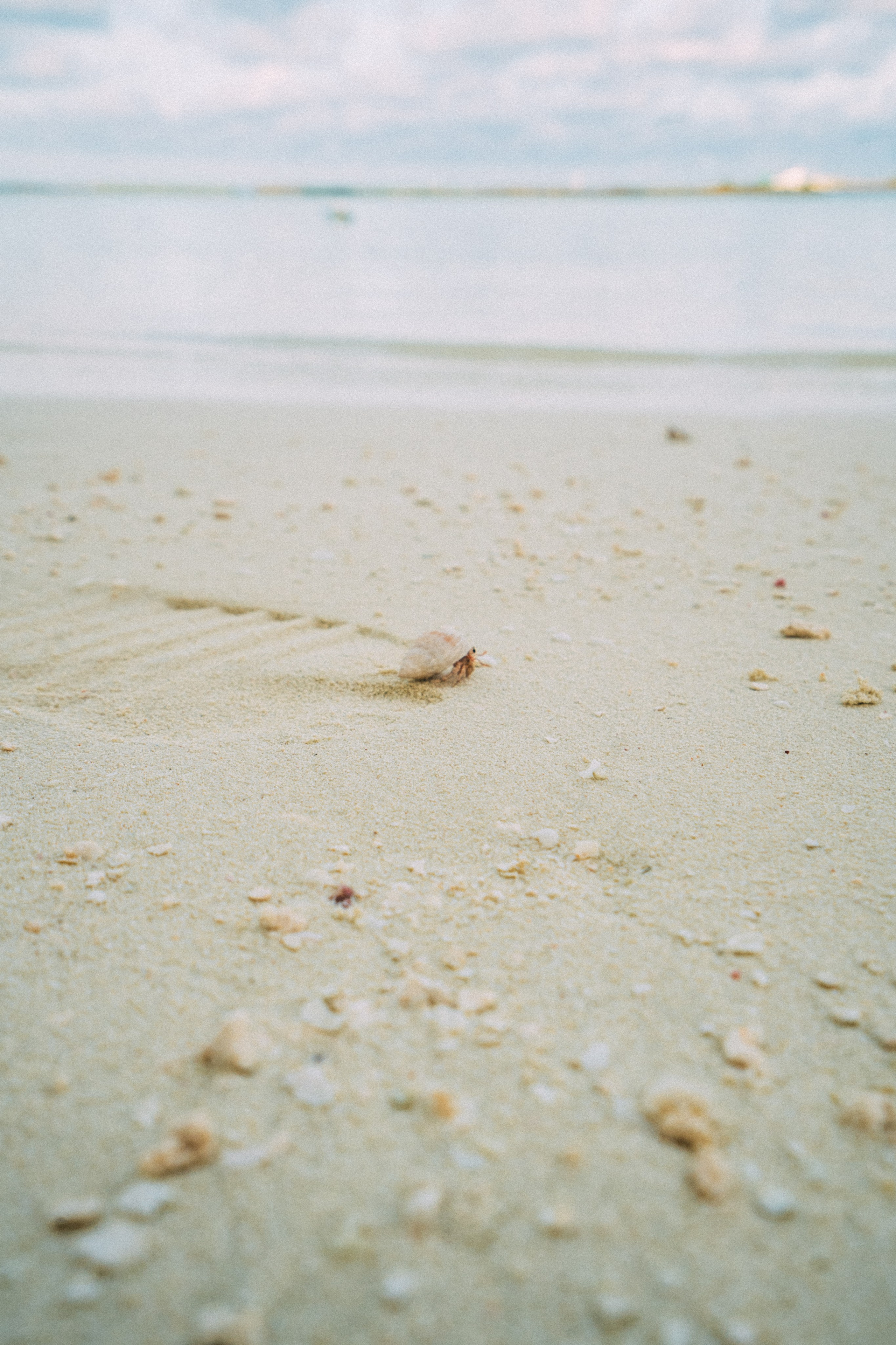 Мальдивы. Фотограф Алиса Аспер