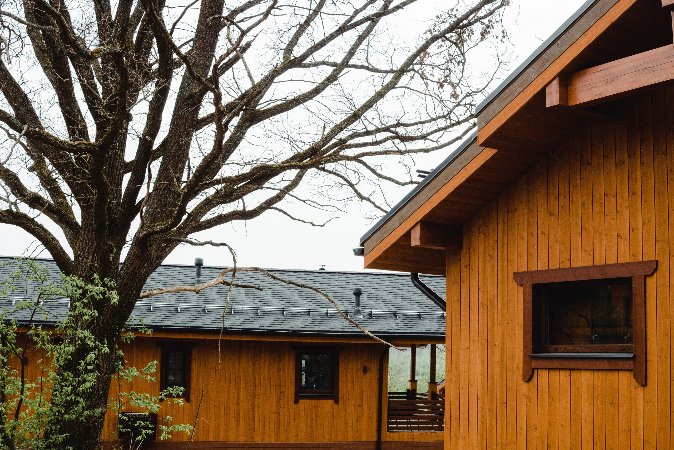 СЪЁМКА ДЛЯ АРХИТЕКТУРНОГО БЮРО АПЕКС. Репортажный и интерьерный фотограф, фотохудожник