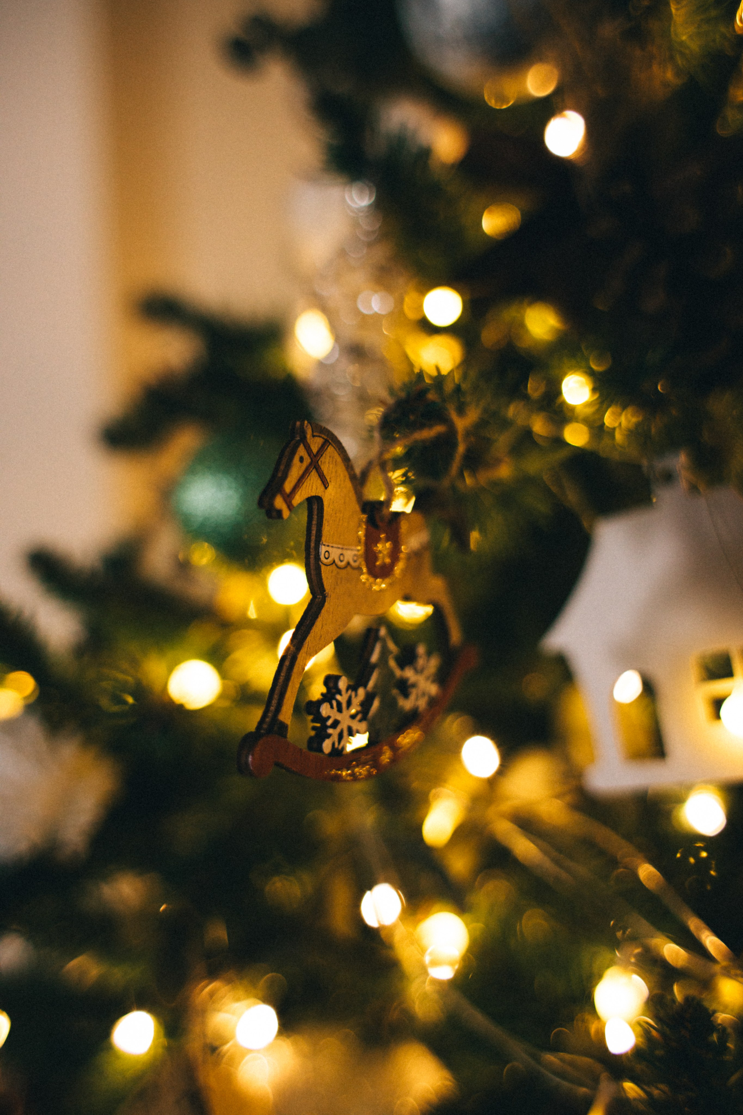 Толя Маша Матвей Дани. Свадебный и семейный фотограф в Ростове-на-Дону Анастасия Арестова