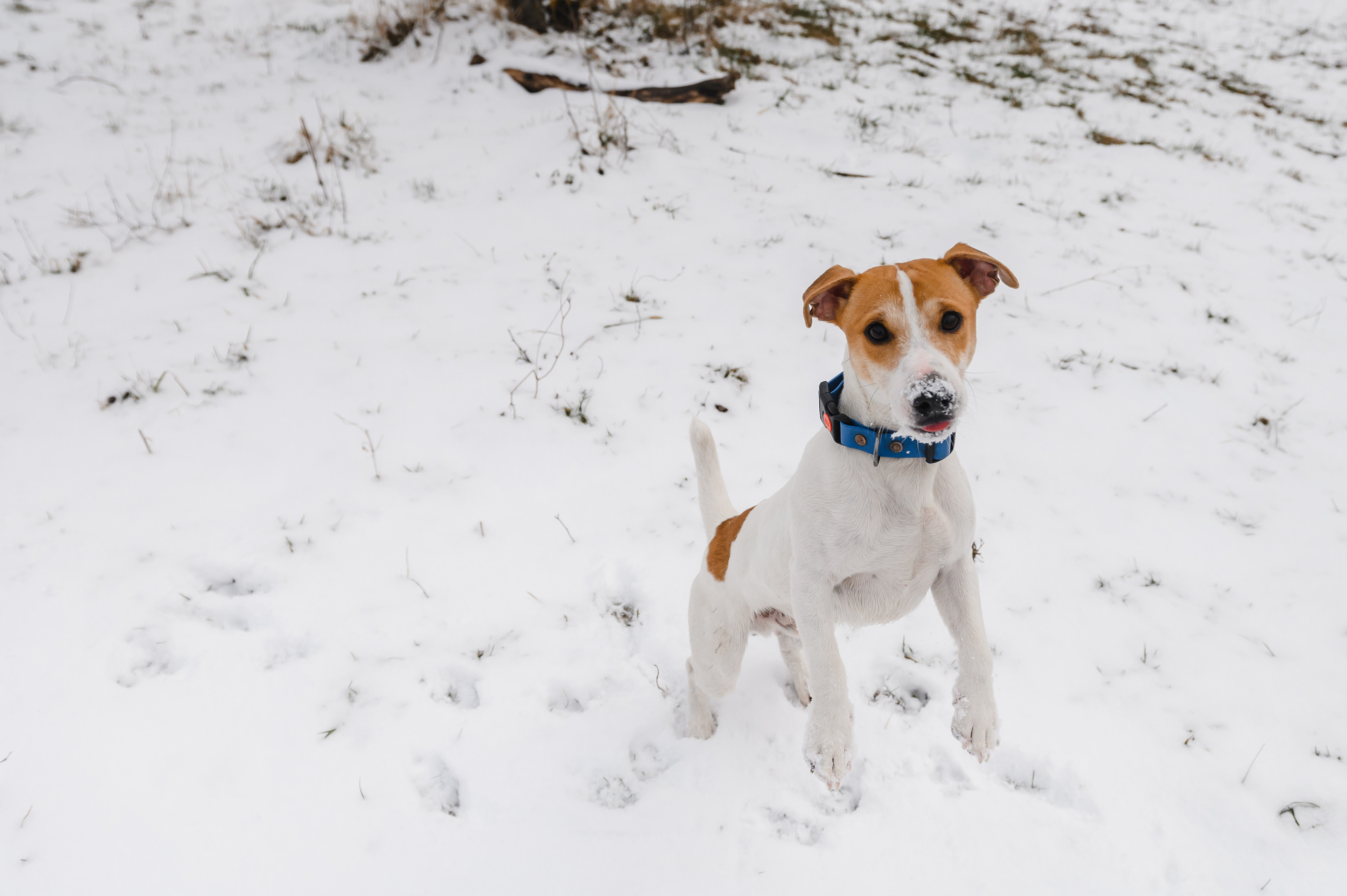 Покатушки на ватрушке. Свадебный и семейный фотограф в Ставрополе Роман Иванов