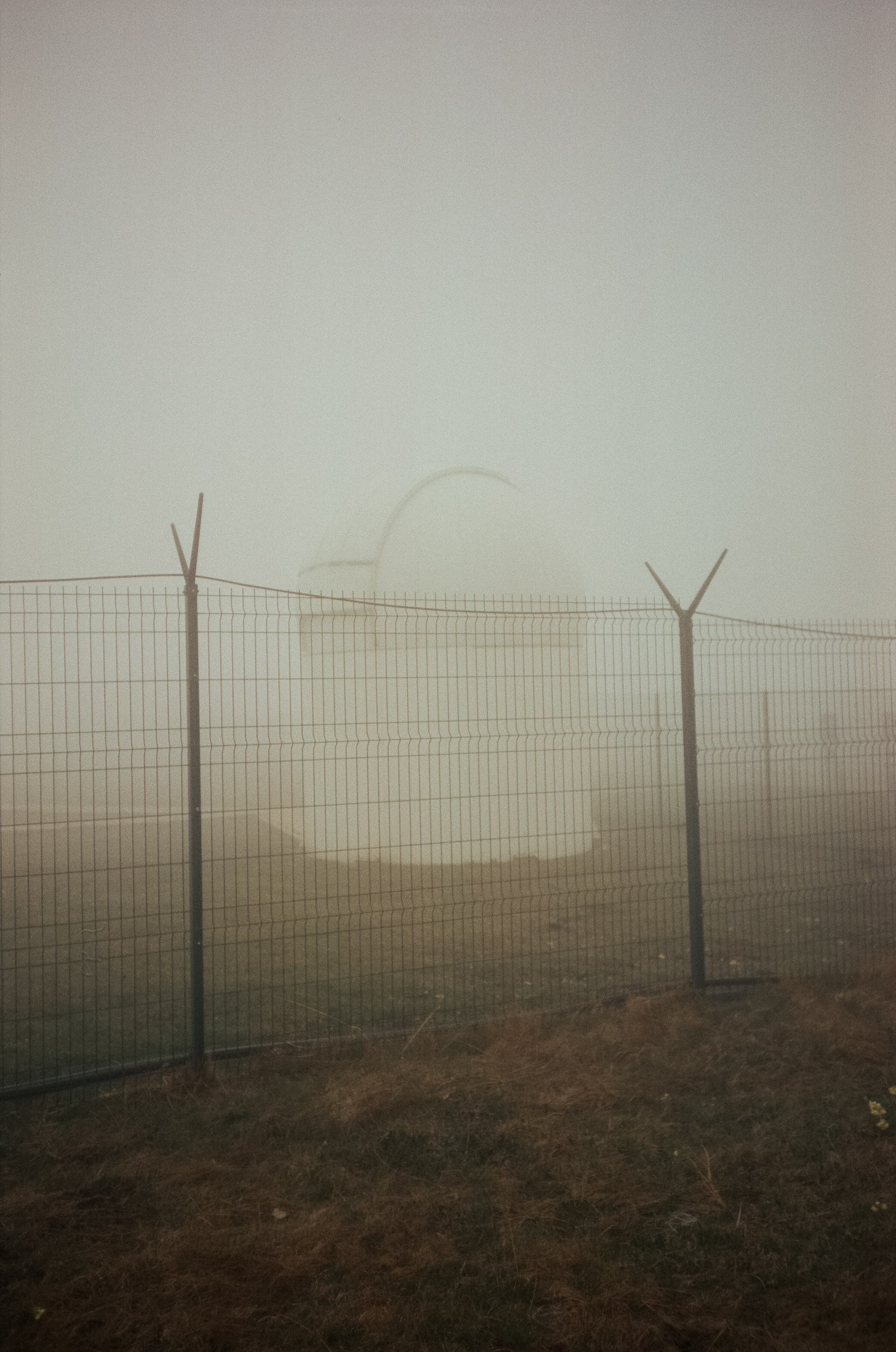 Дорога к Джилы-Су и лошадки в тумане. Фотограф-документалист Мария Осокина