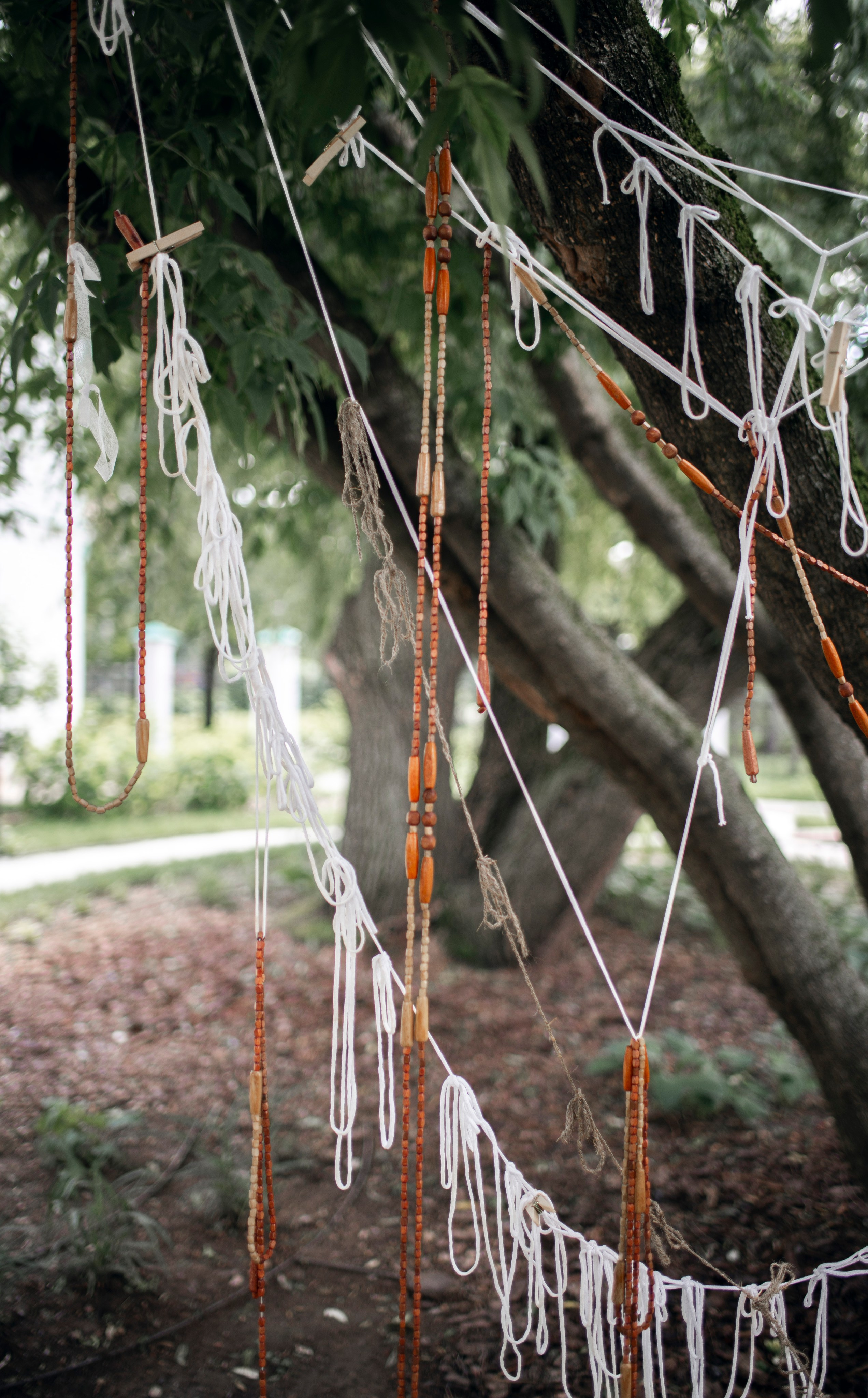 Выставка в доме Третьяковых. Фотограф в Москве Алейникова Евгения