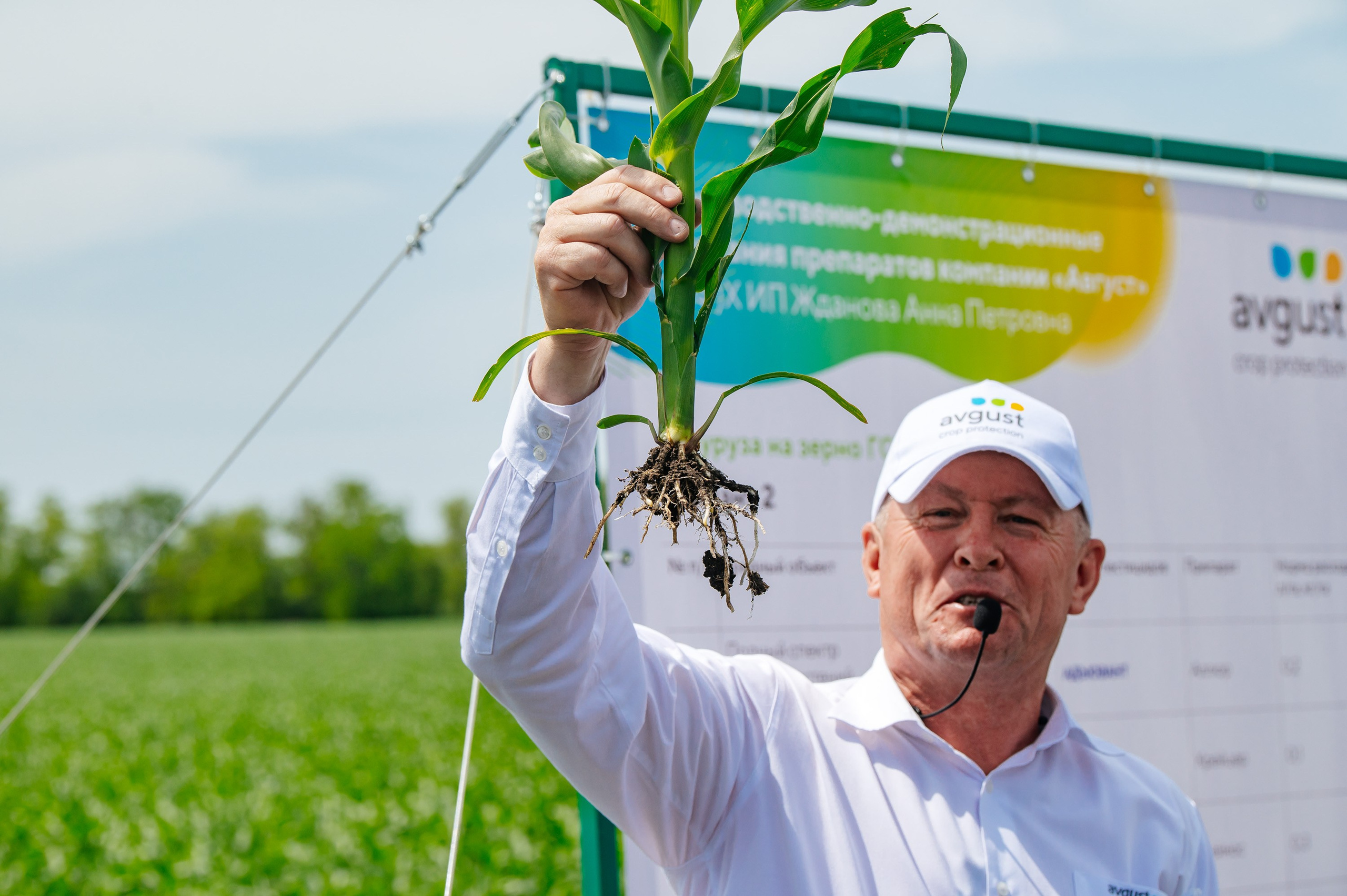 День поля. Главная