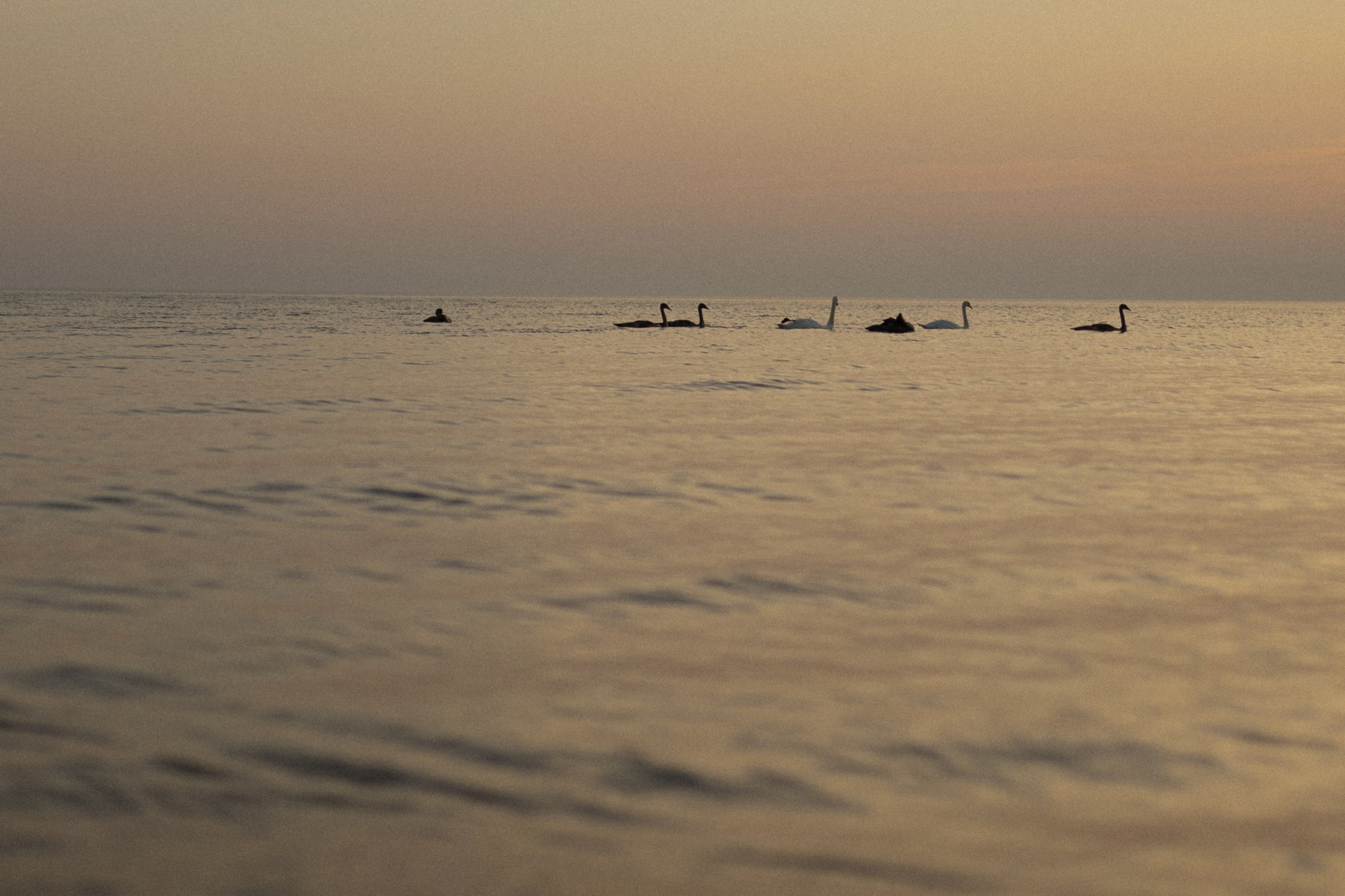 Первое море в жизни маленького человека. Фотограф Daria Wilner