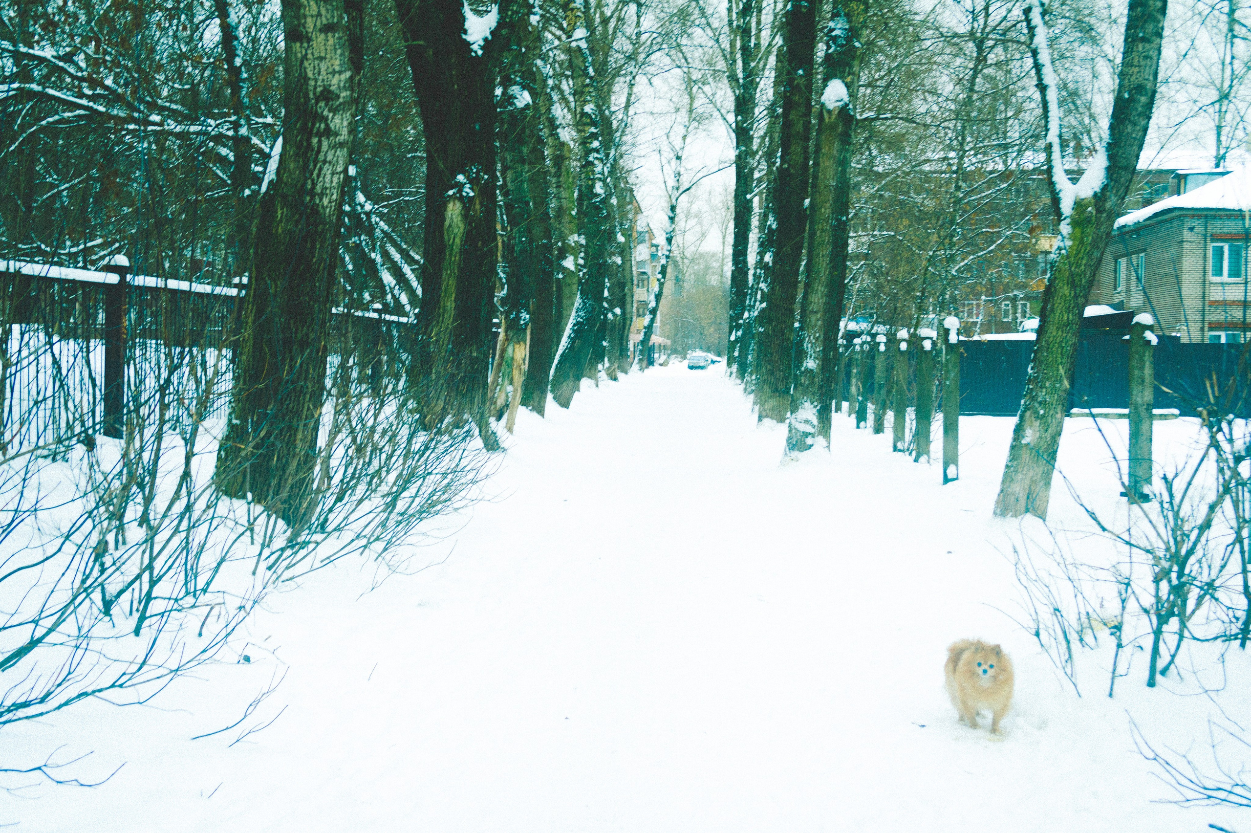 Холодный. Яркий.