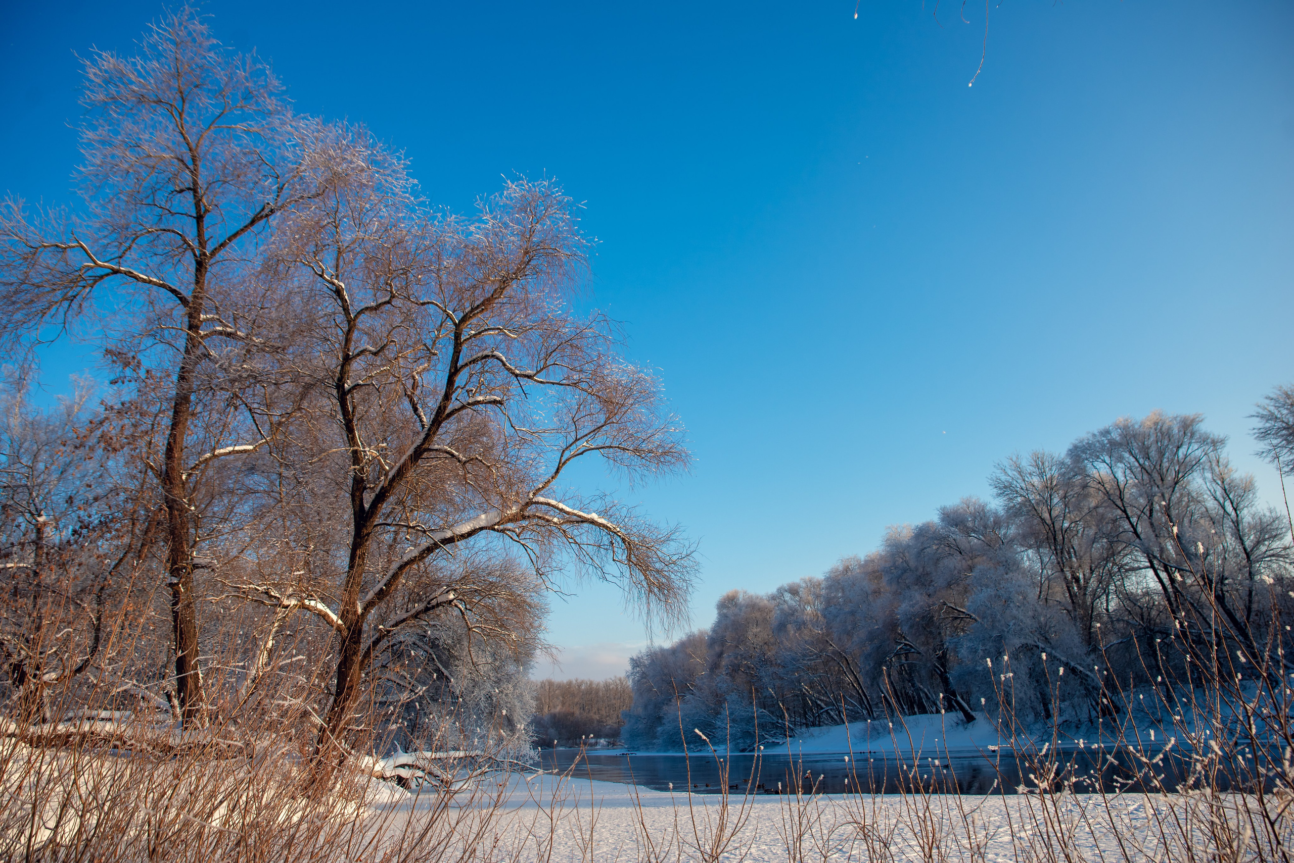 Зимушка зима. Фотограф Крещение Венчание Москва